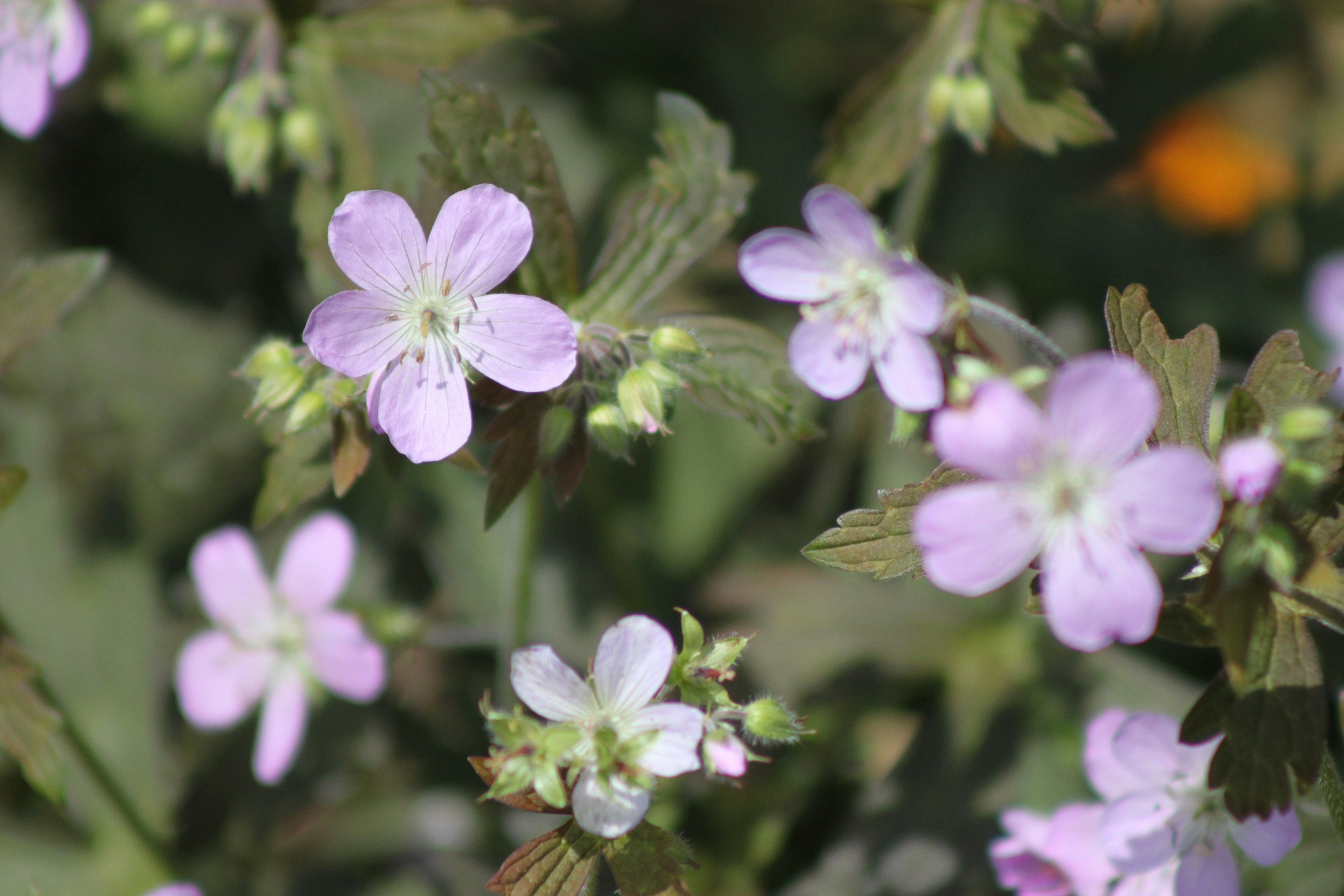 Photo by rubyphotography