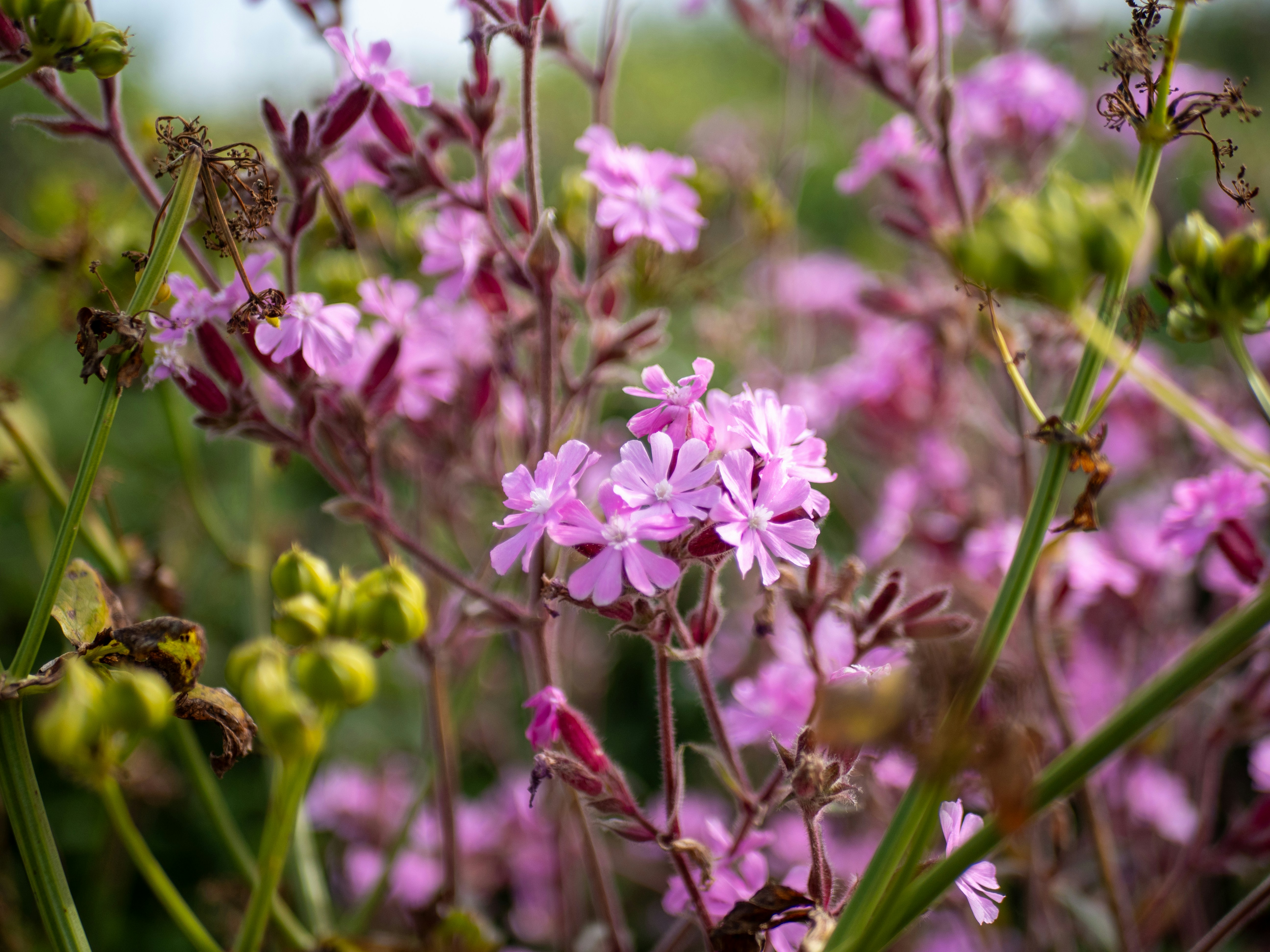 Photo by bengrayland