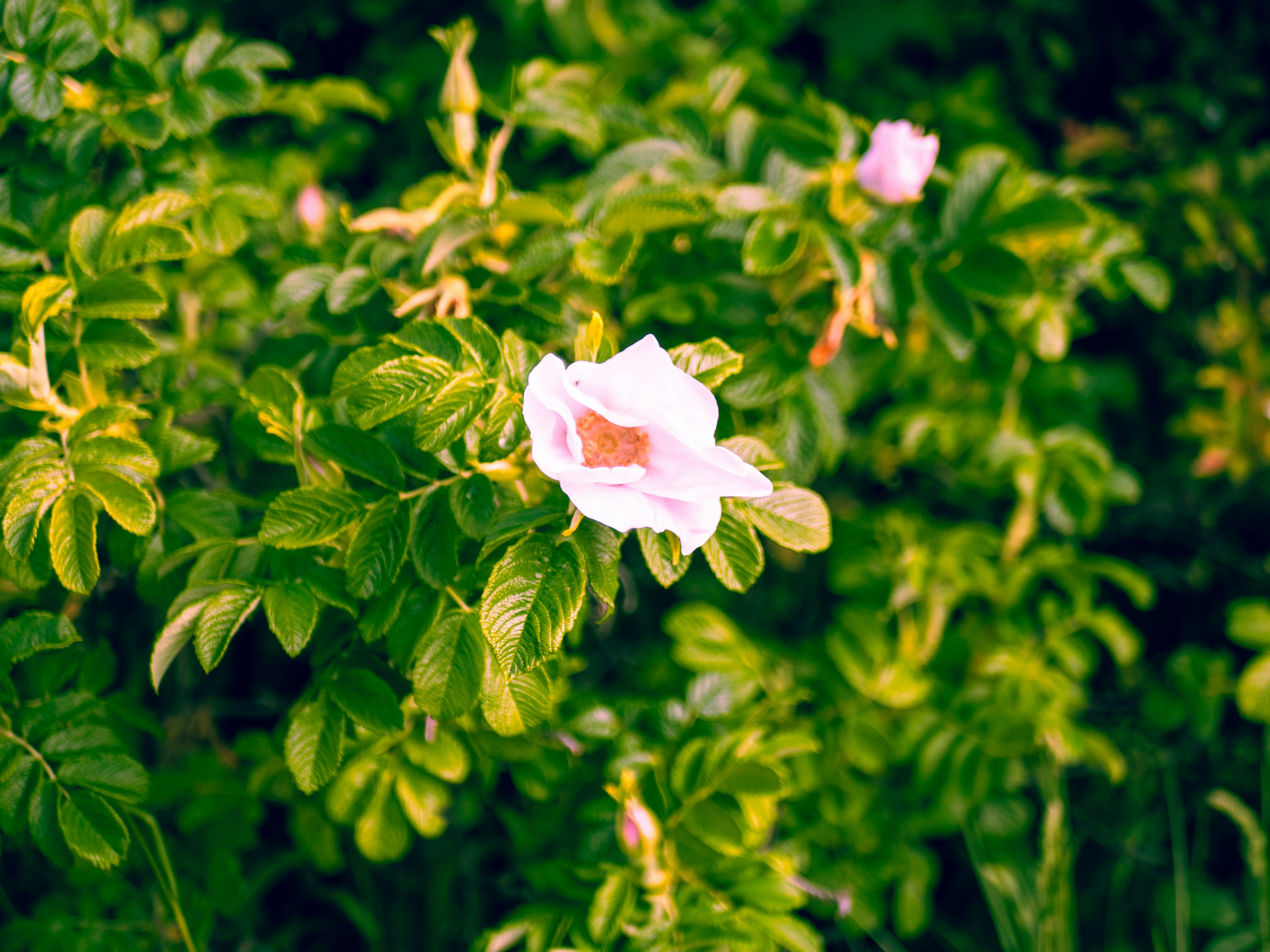 Photo by bengrayland