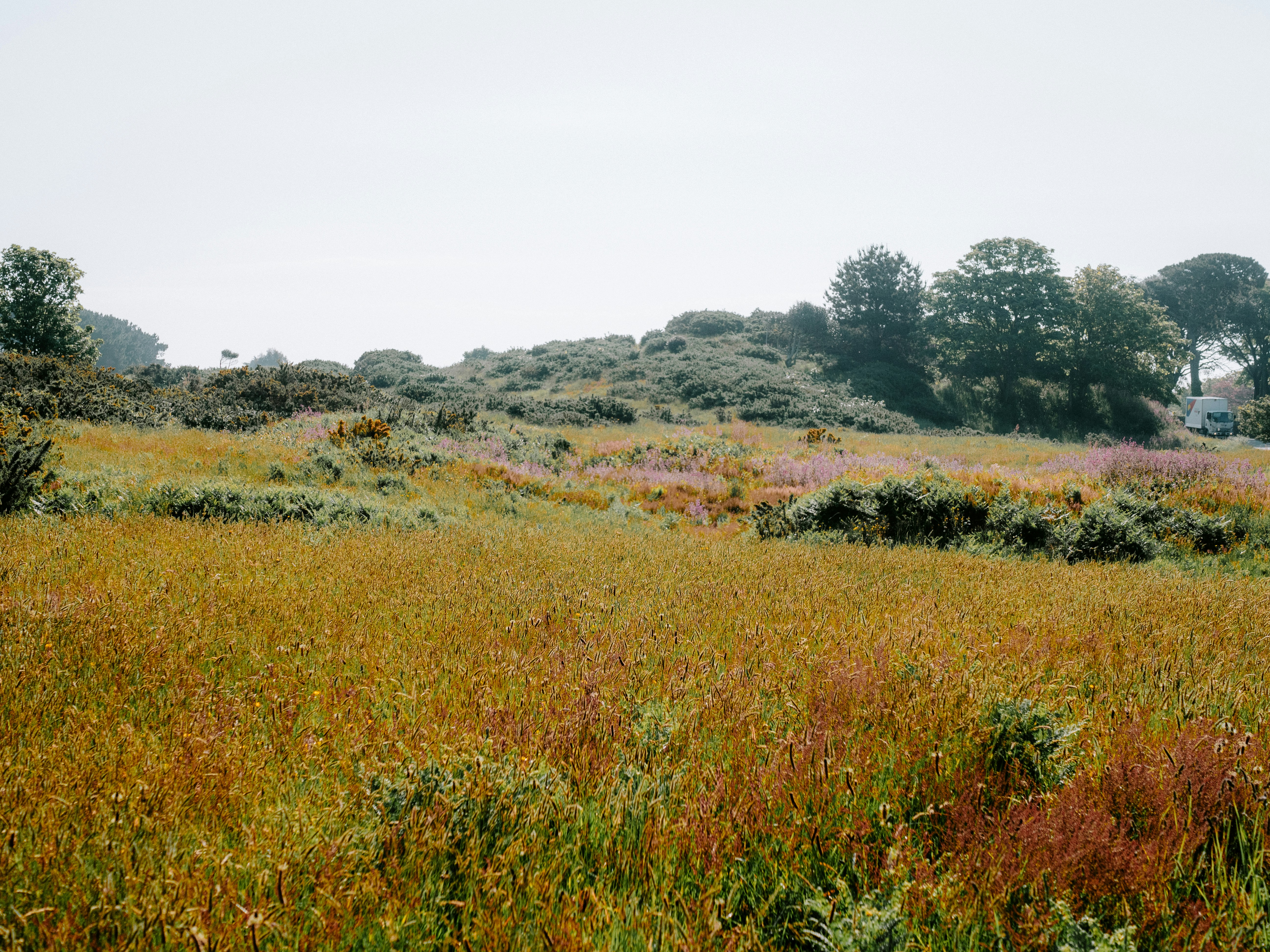 Photo by bengrayland