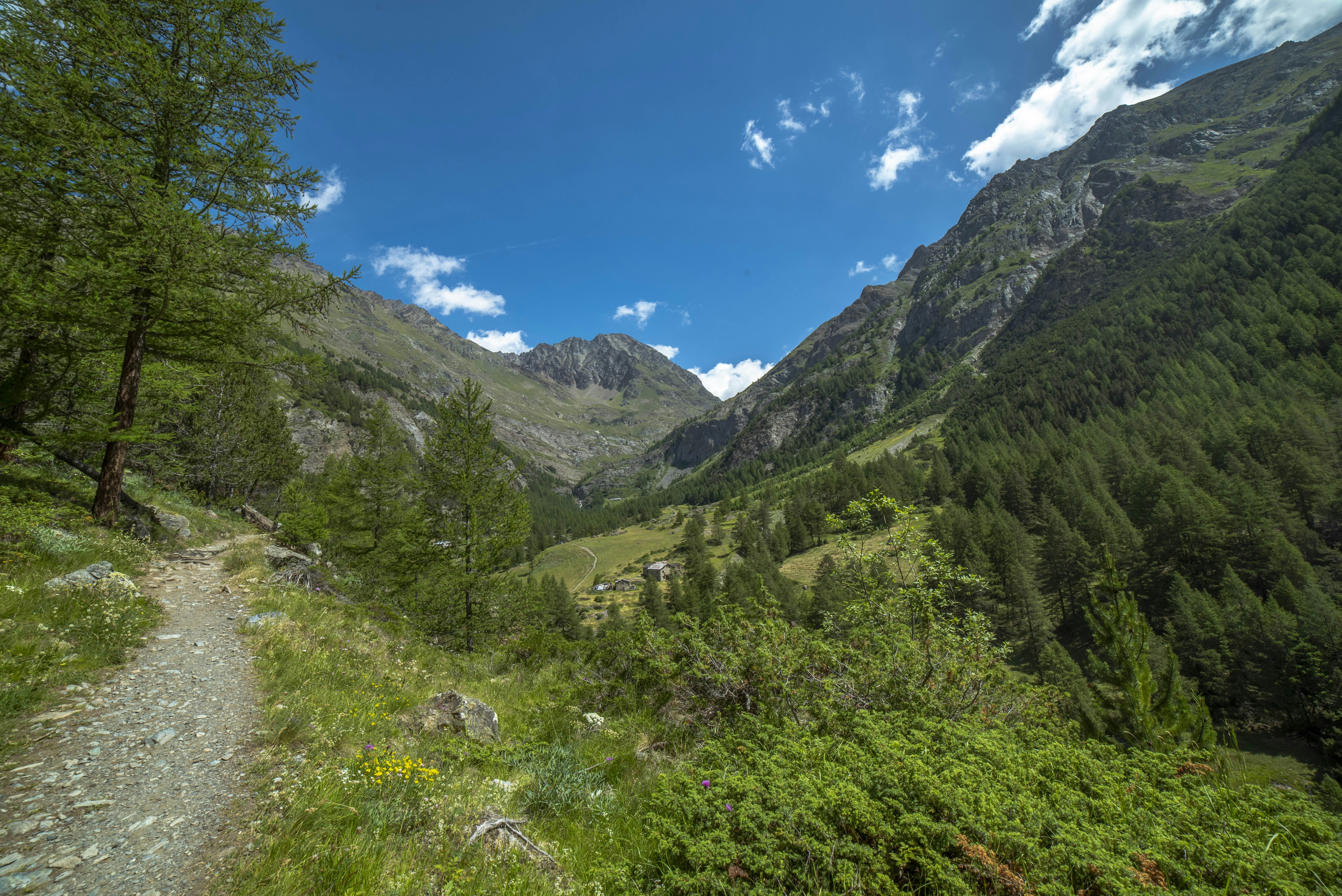 a view of a mountain valley with a trail in the foreground