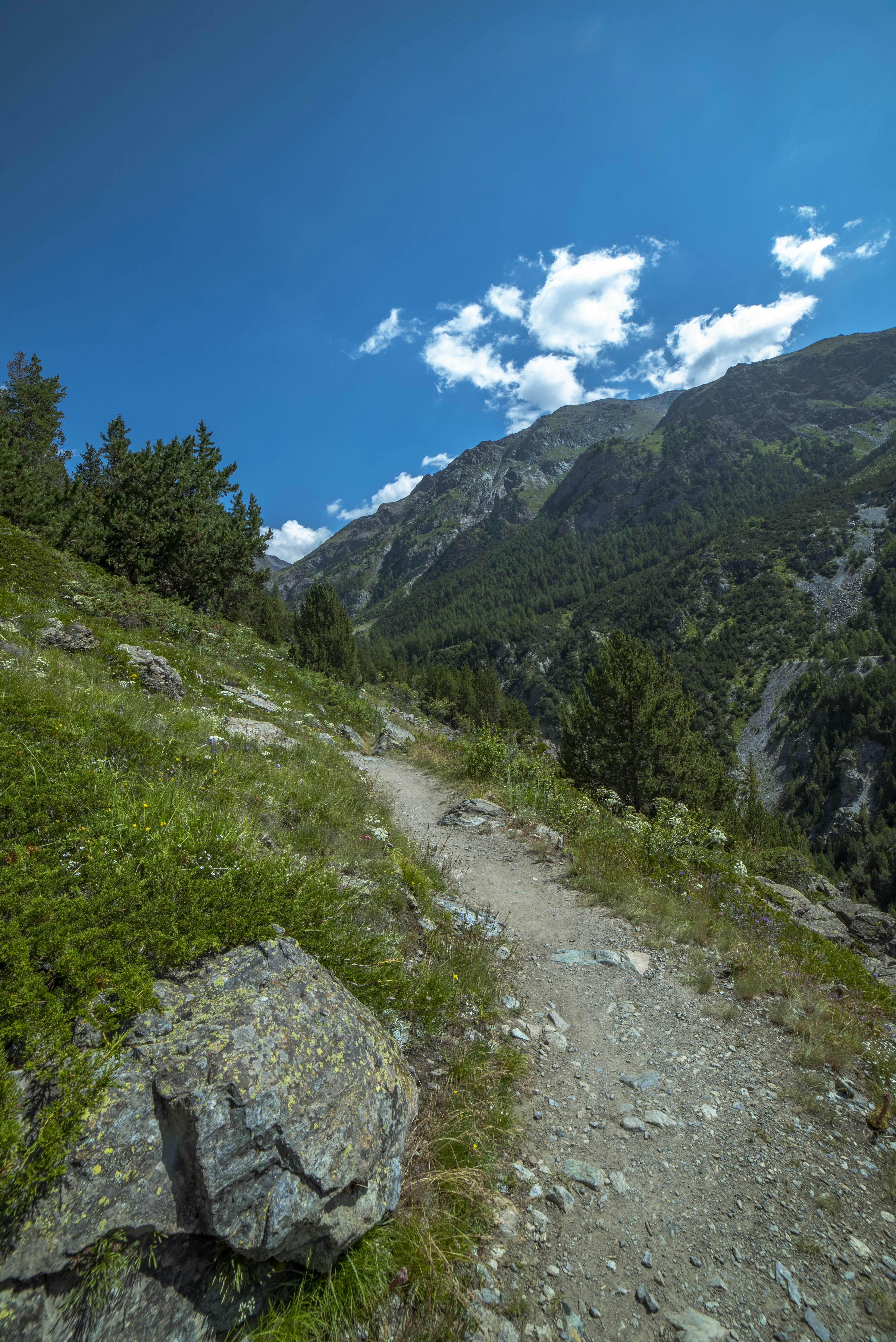 a trail in the middle of a mountain