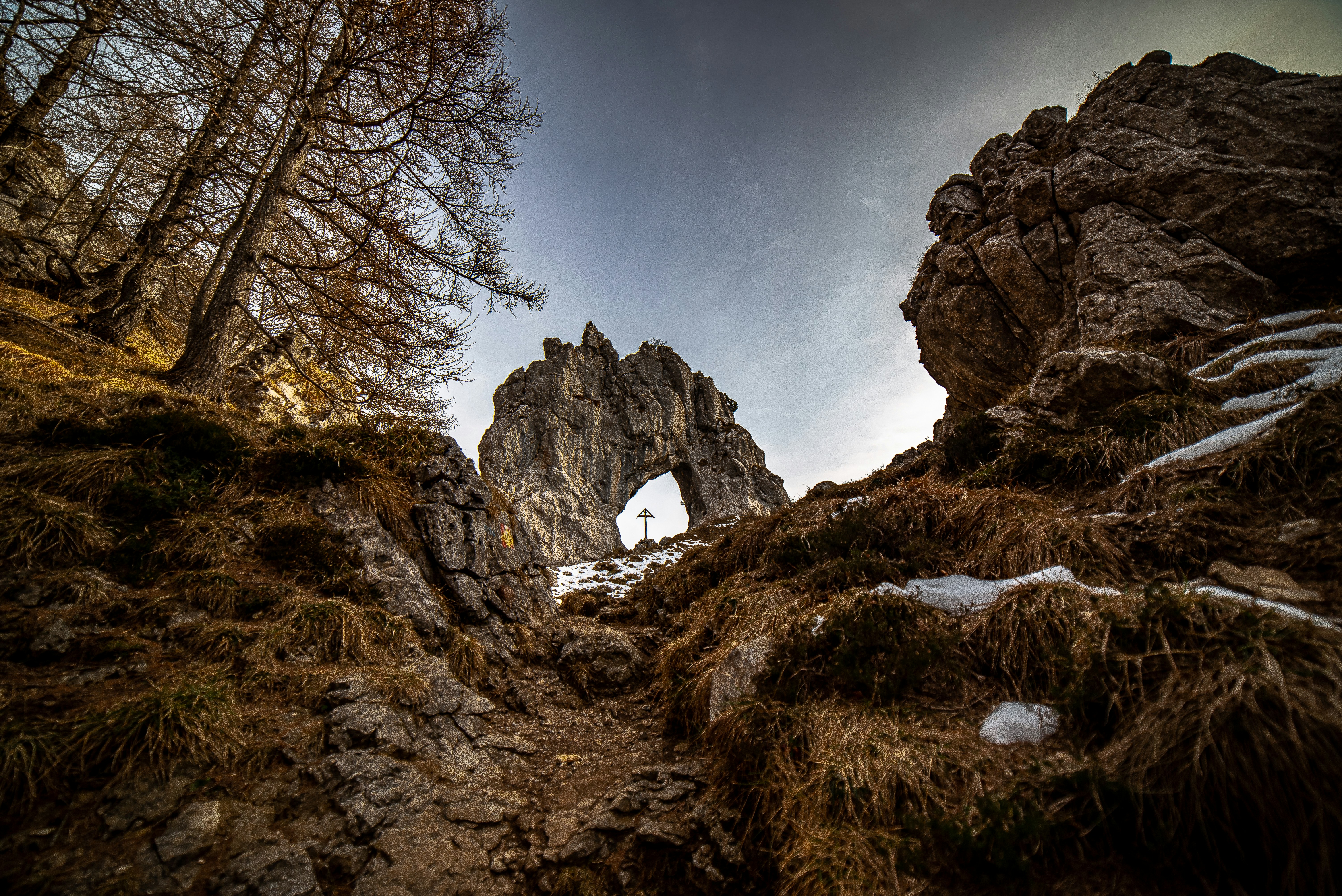 a rock arch in the middle of a forest