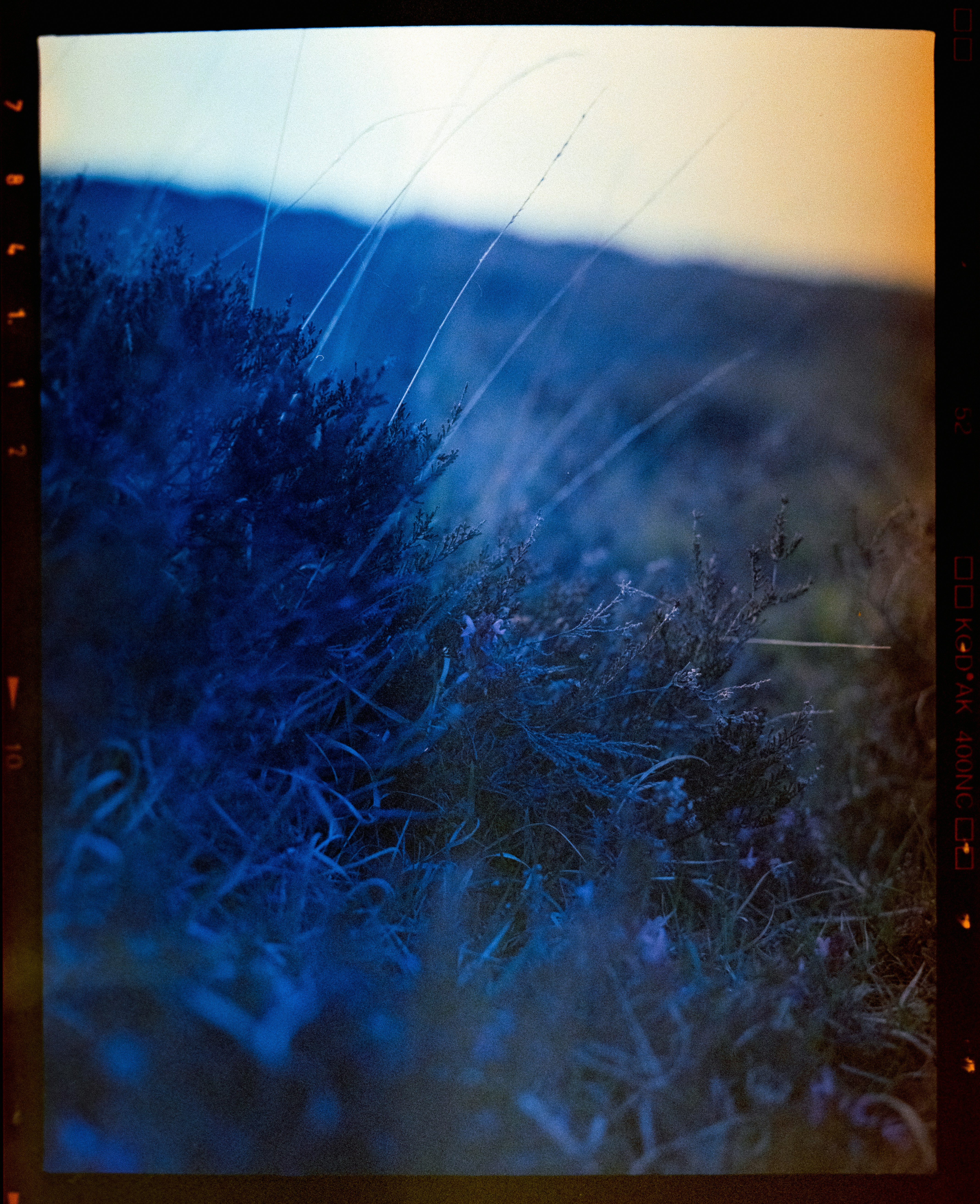 Photo by anniespratt