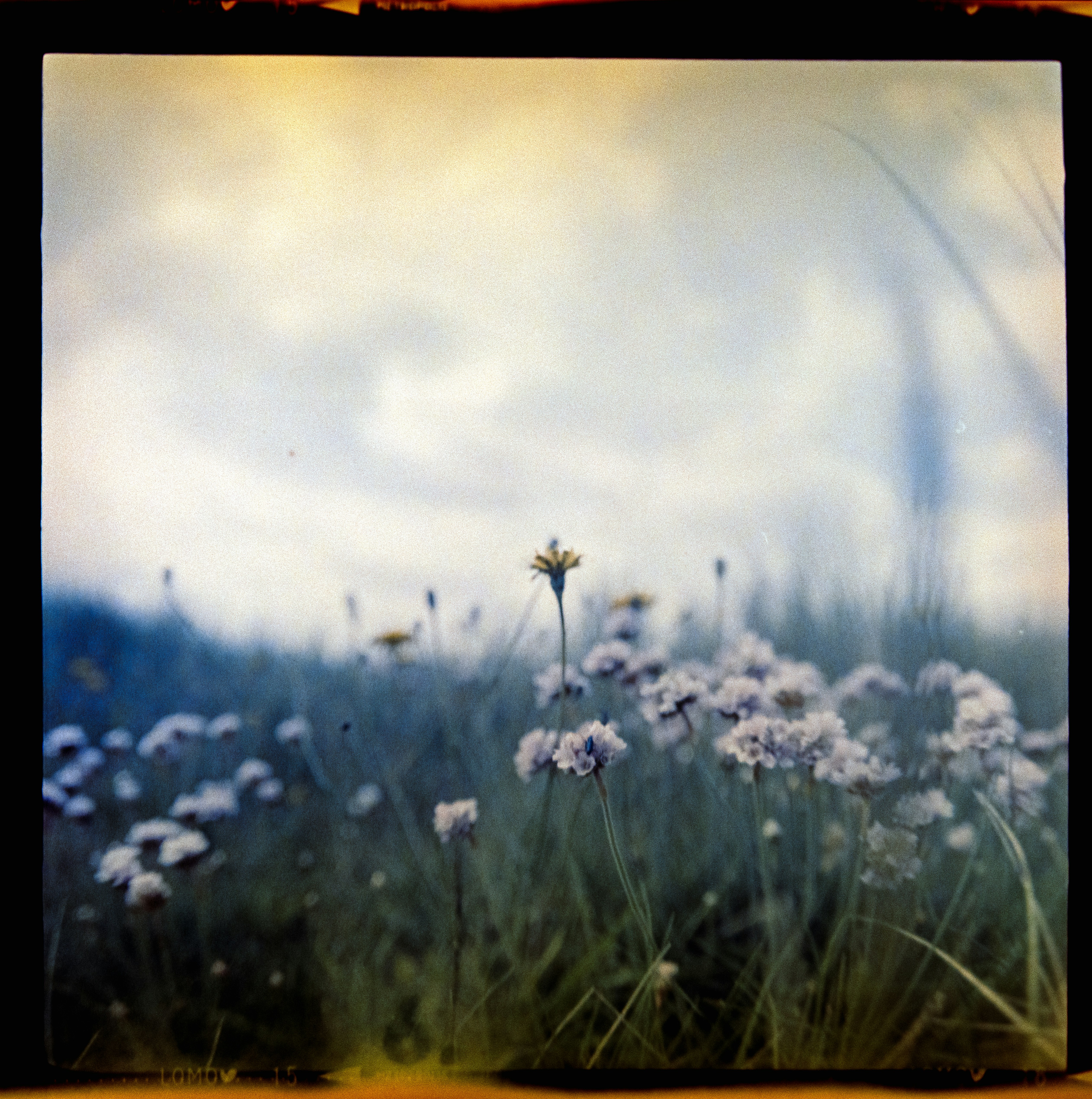 Photo by anniespratt