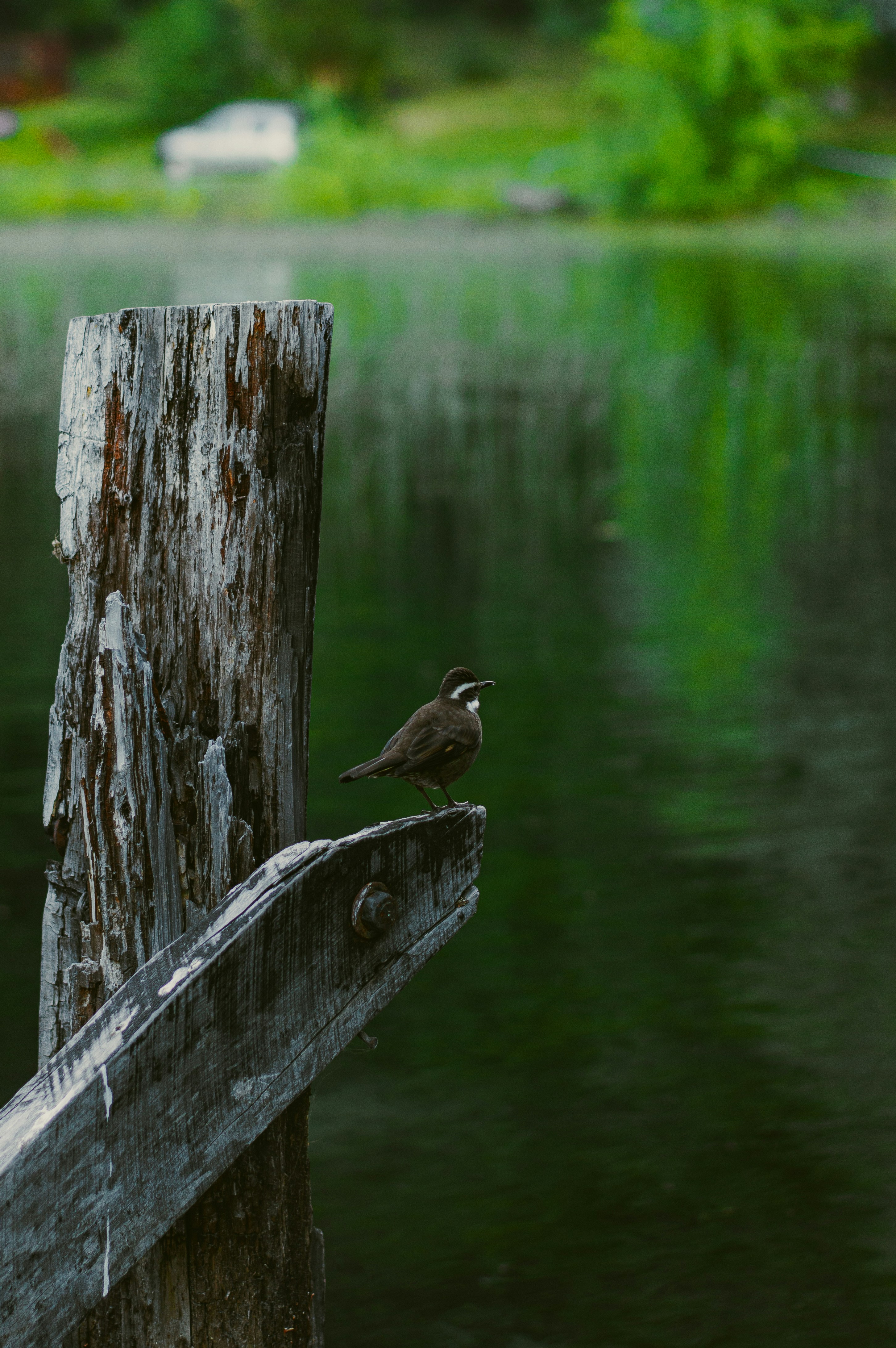 Photo by az_damariss