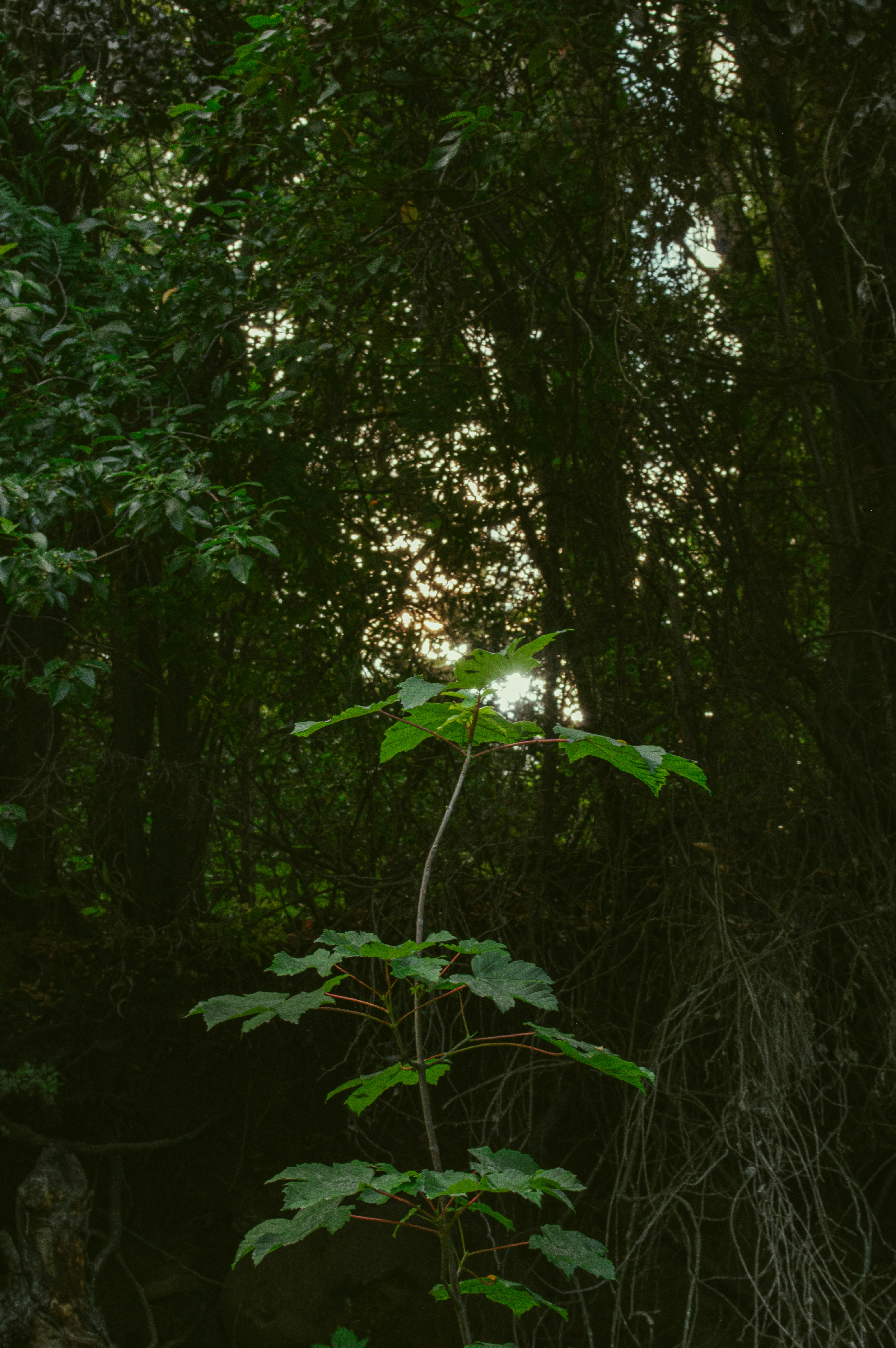 Photo by az_damariss