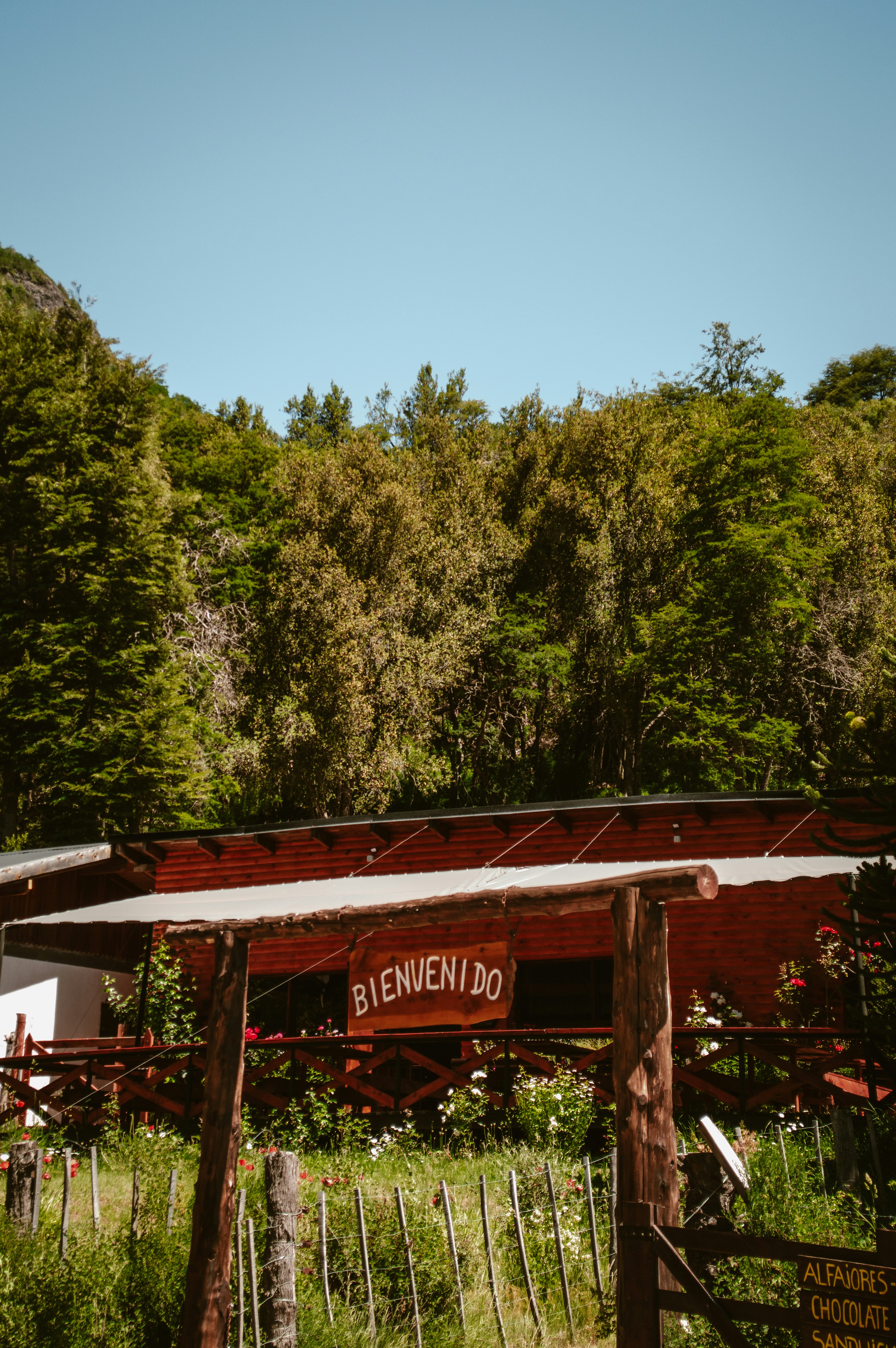 Green Welcome Pictures | Download Free Images on Unsplash