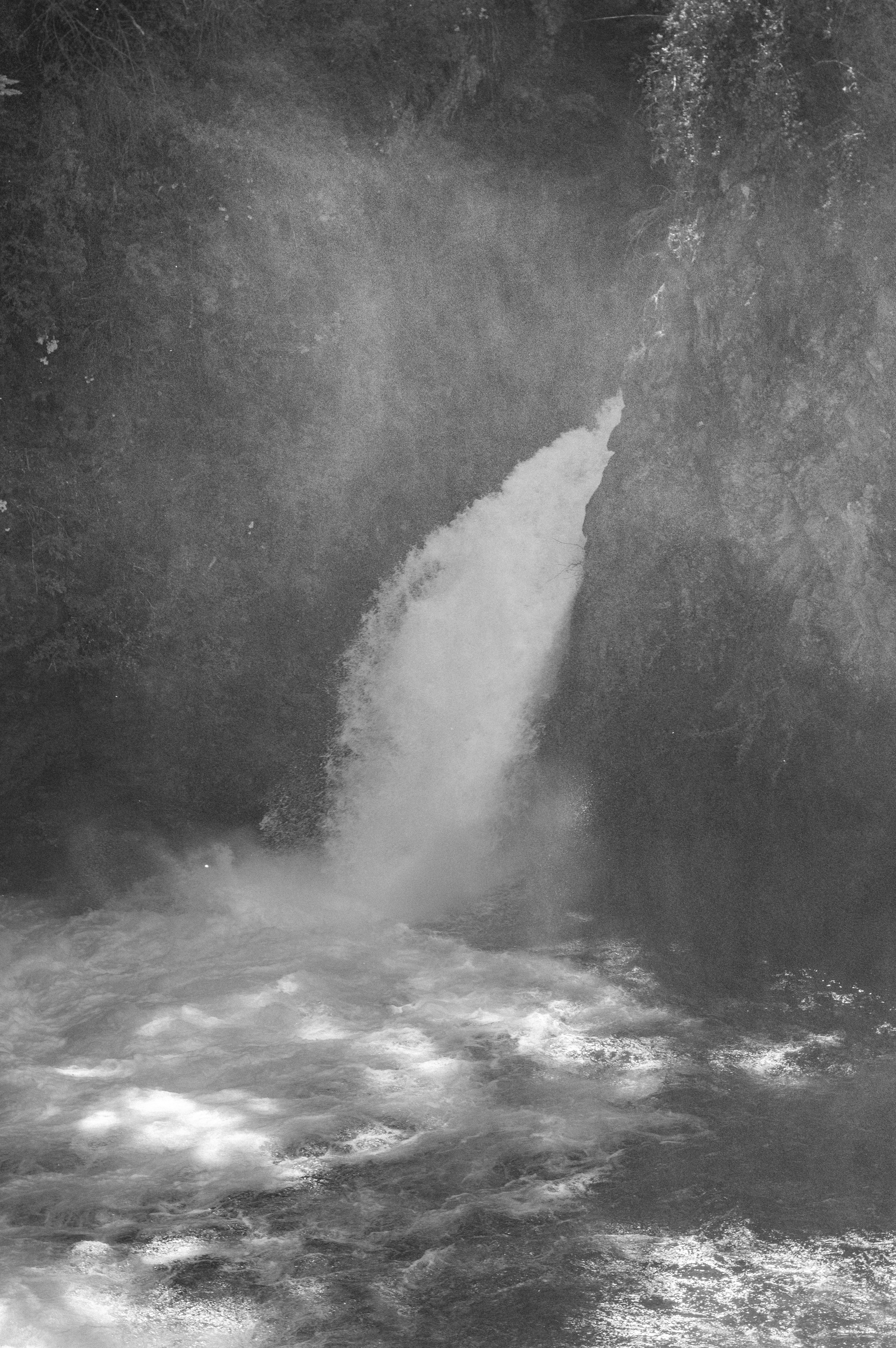 Photo by az_damariss