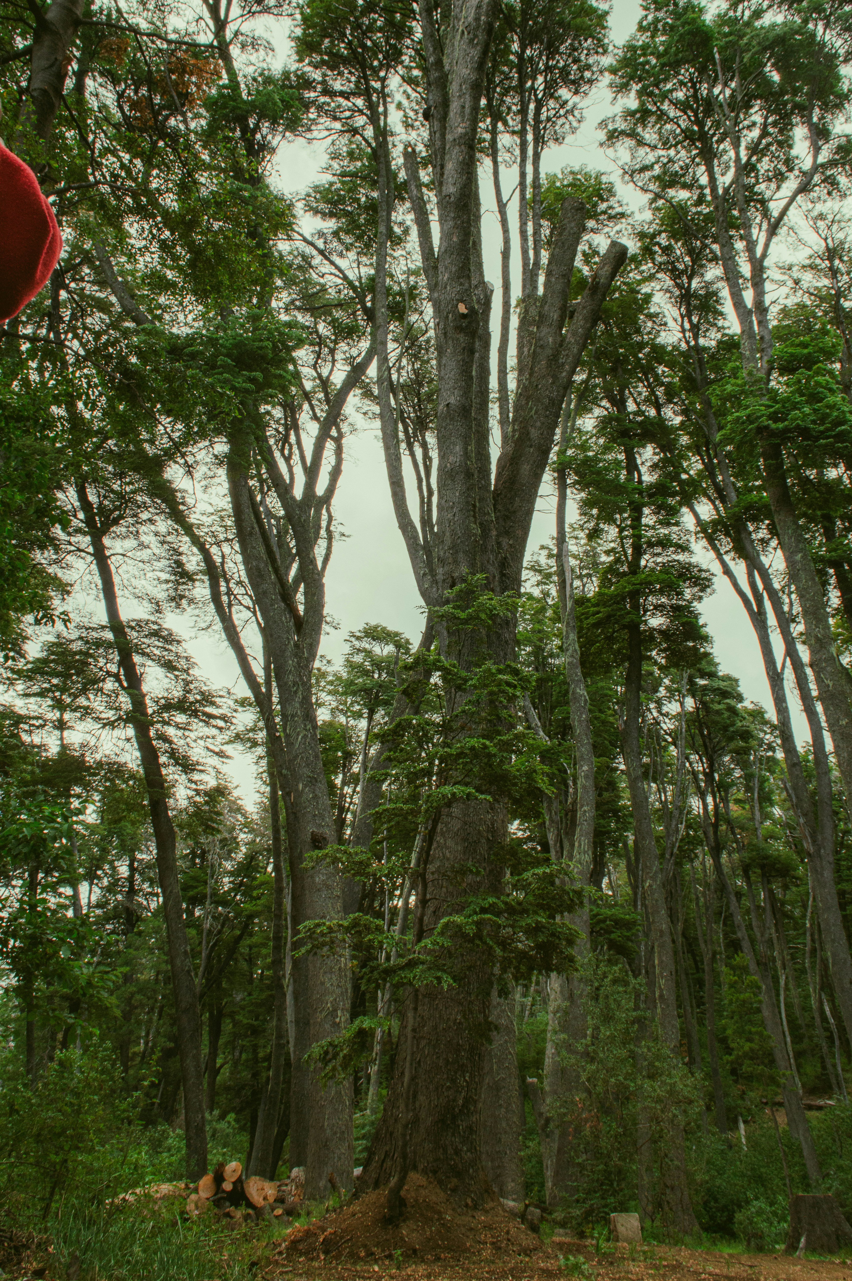 Photo by az_damariss