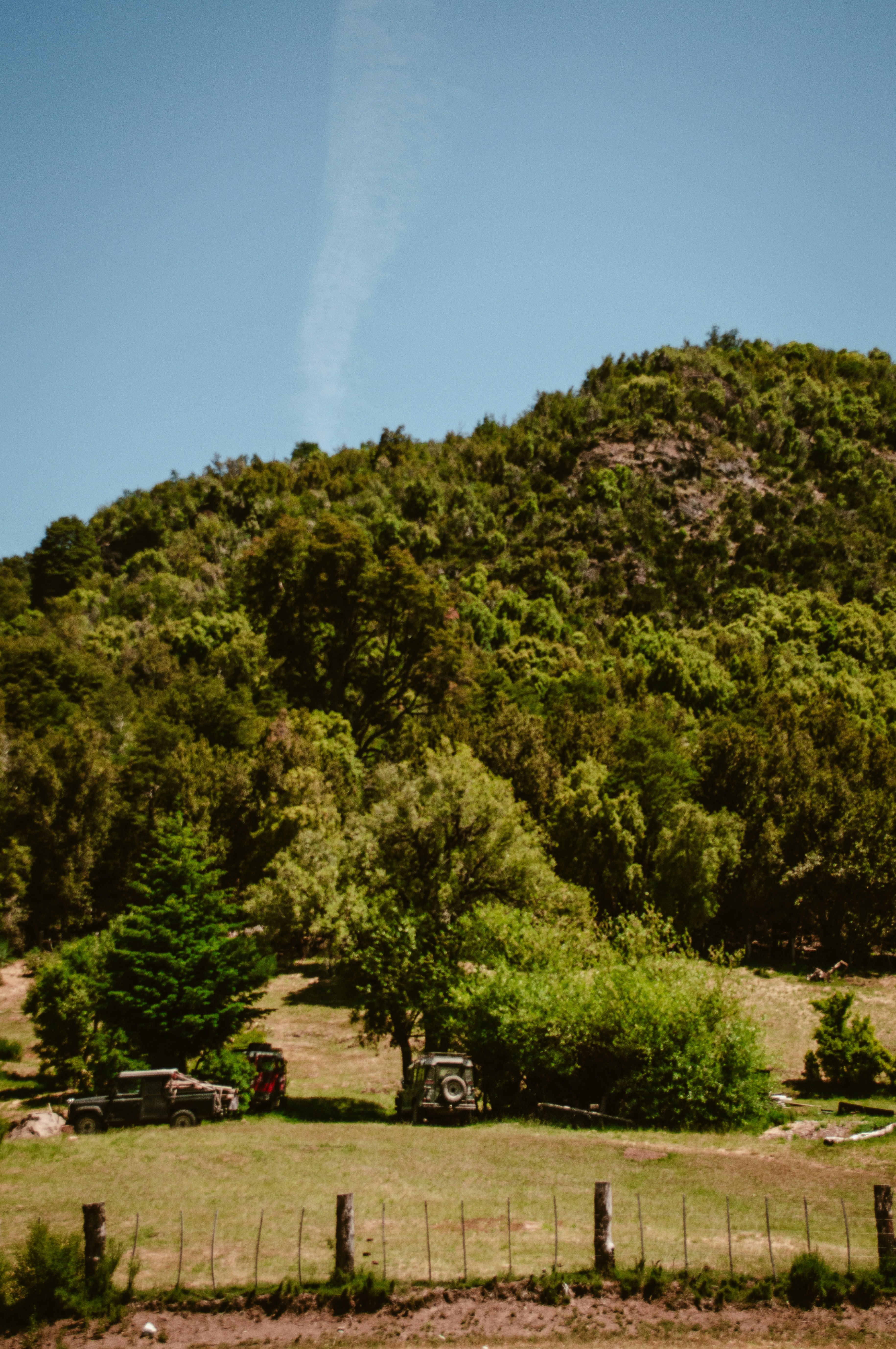 Photo by az_damariss