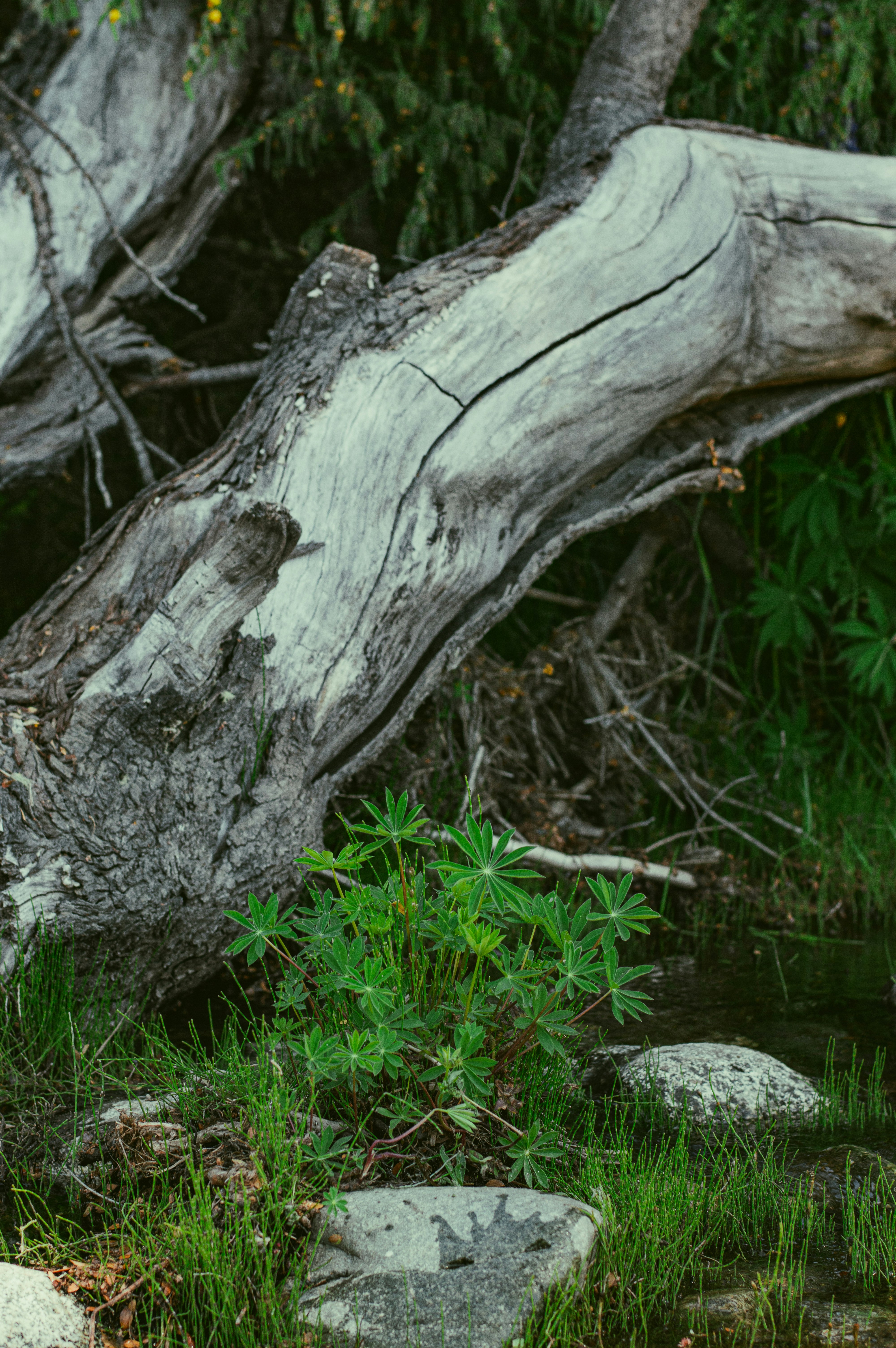 Photo by az_damariss