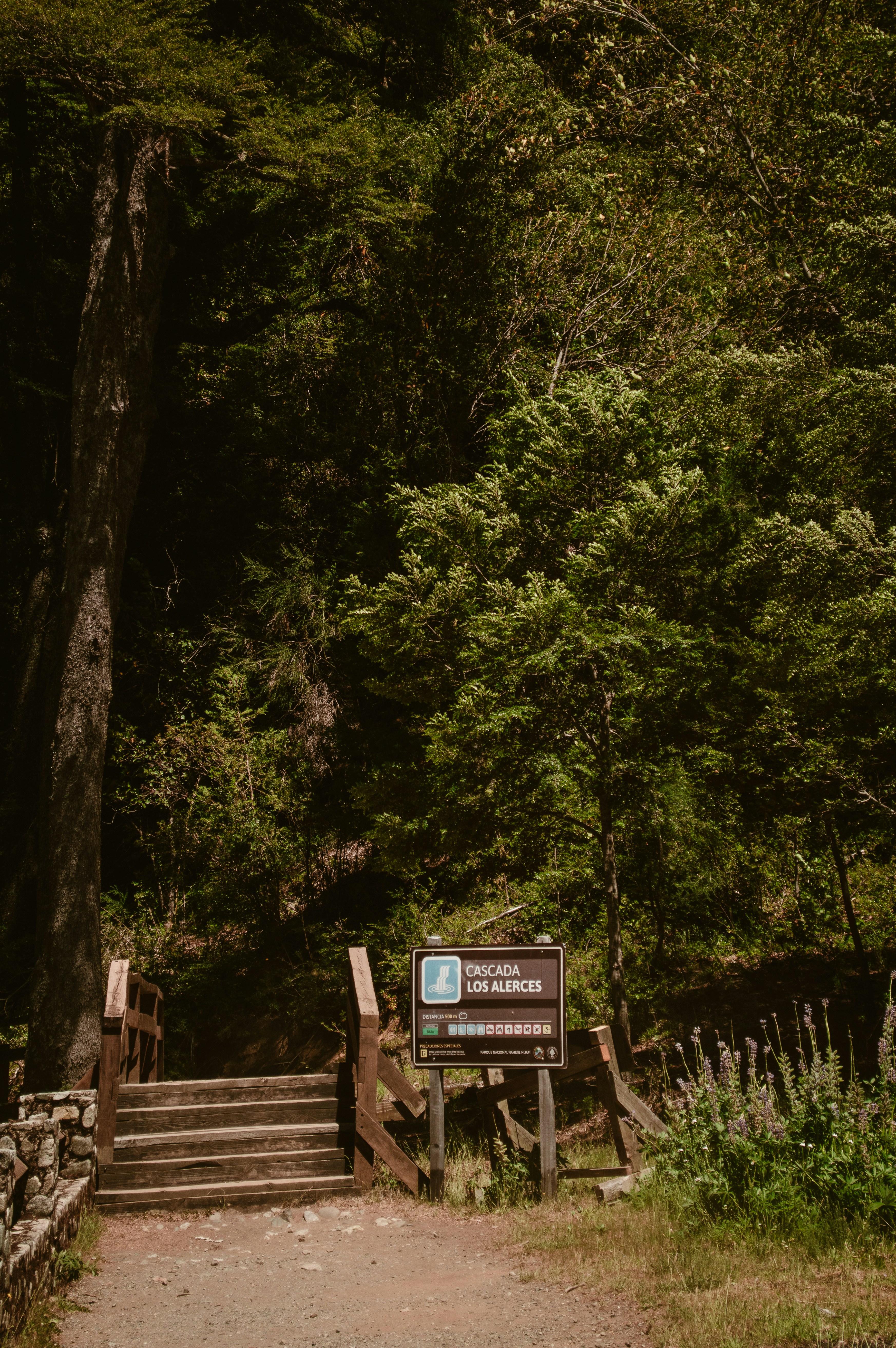 Photo by az_damariss