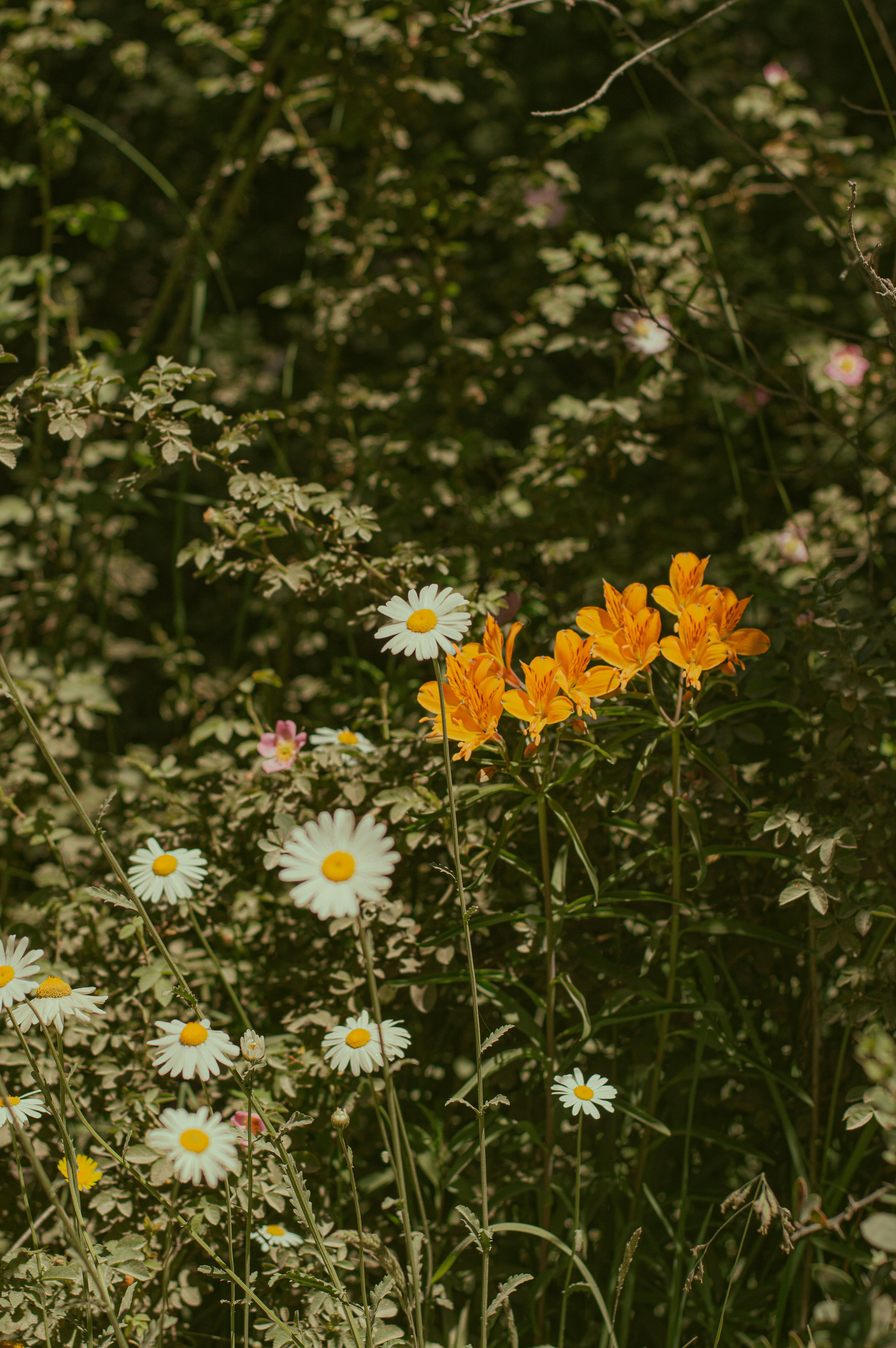 Photo by az_damariss