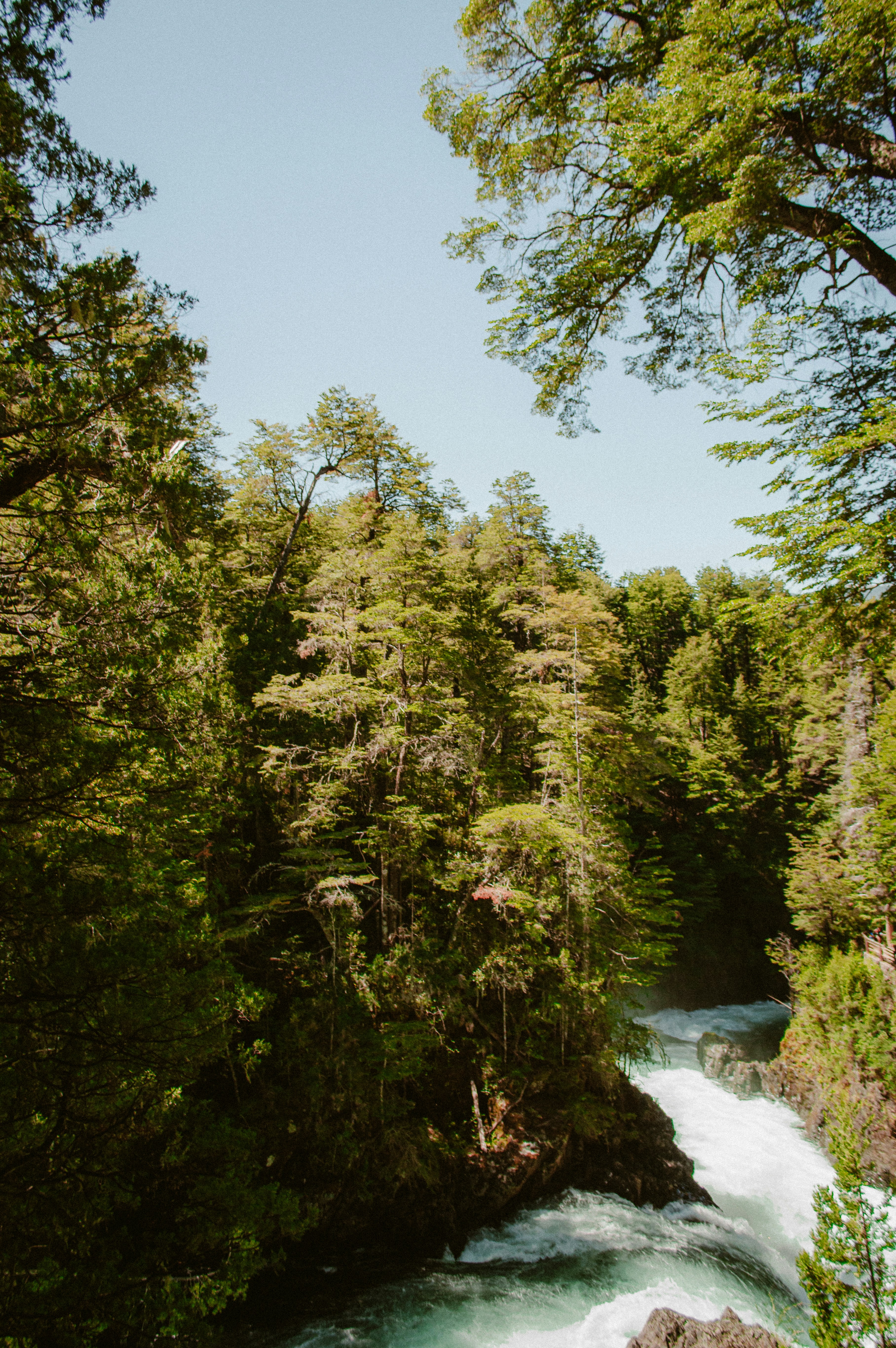 Photo by az_damariss