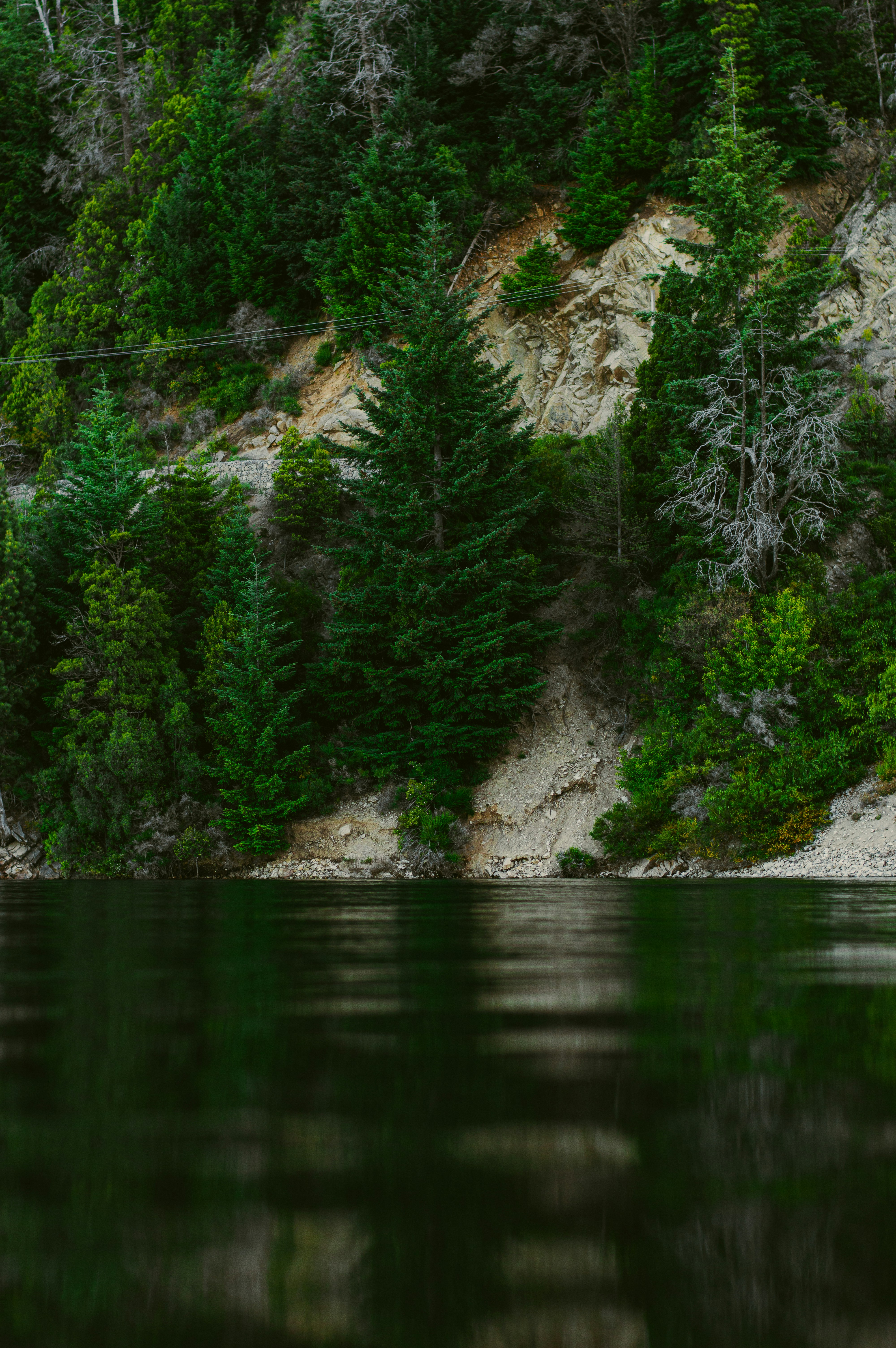 Photo by az_damariss