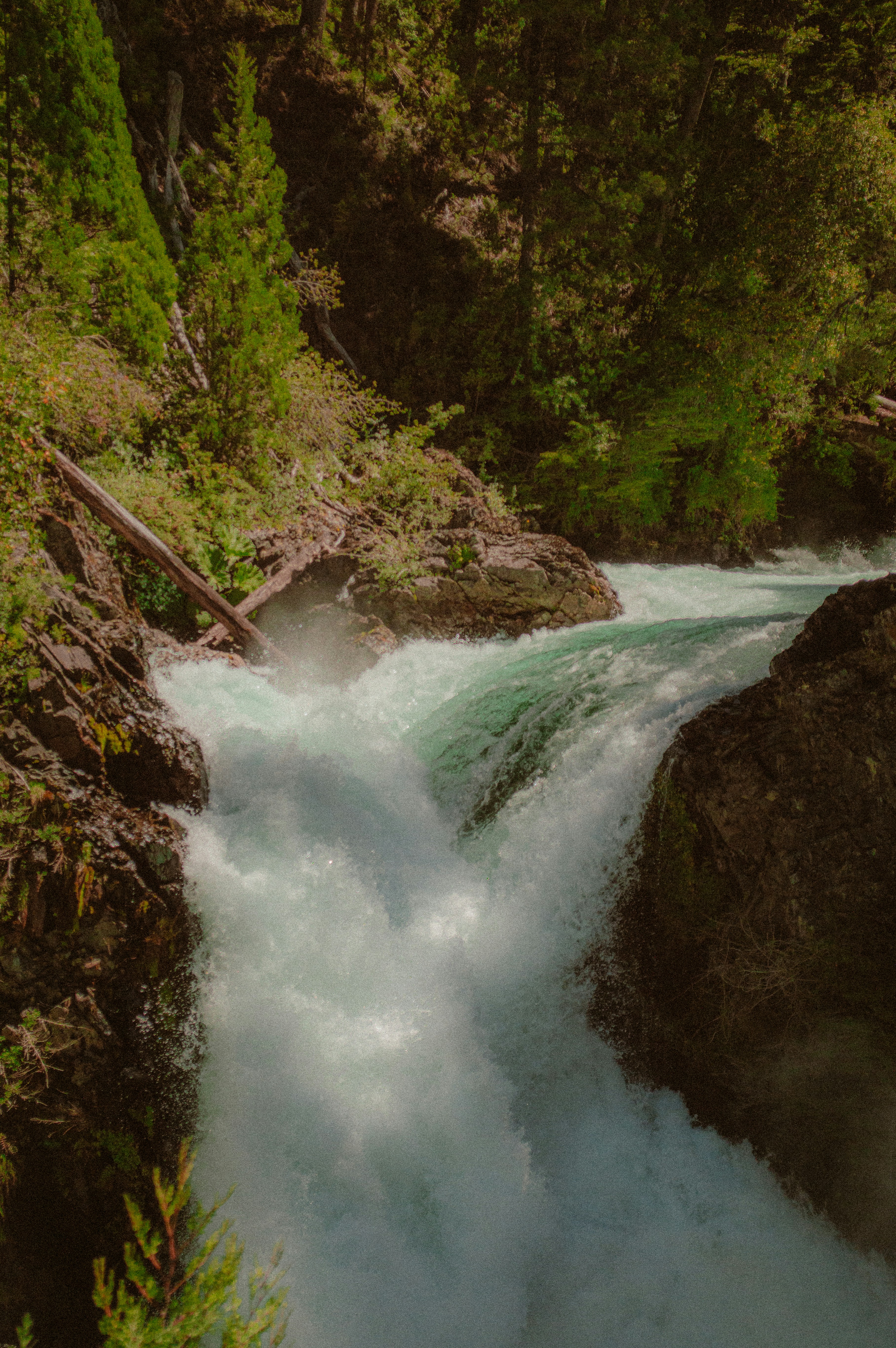 Photo by az_damariss