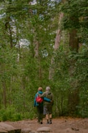a couple of people that are walking in the woods