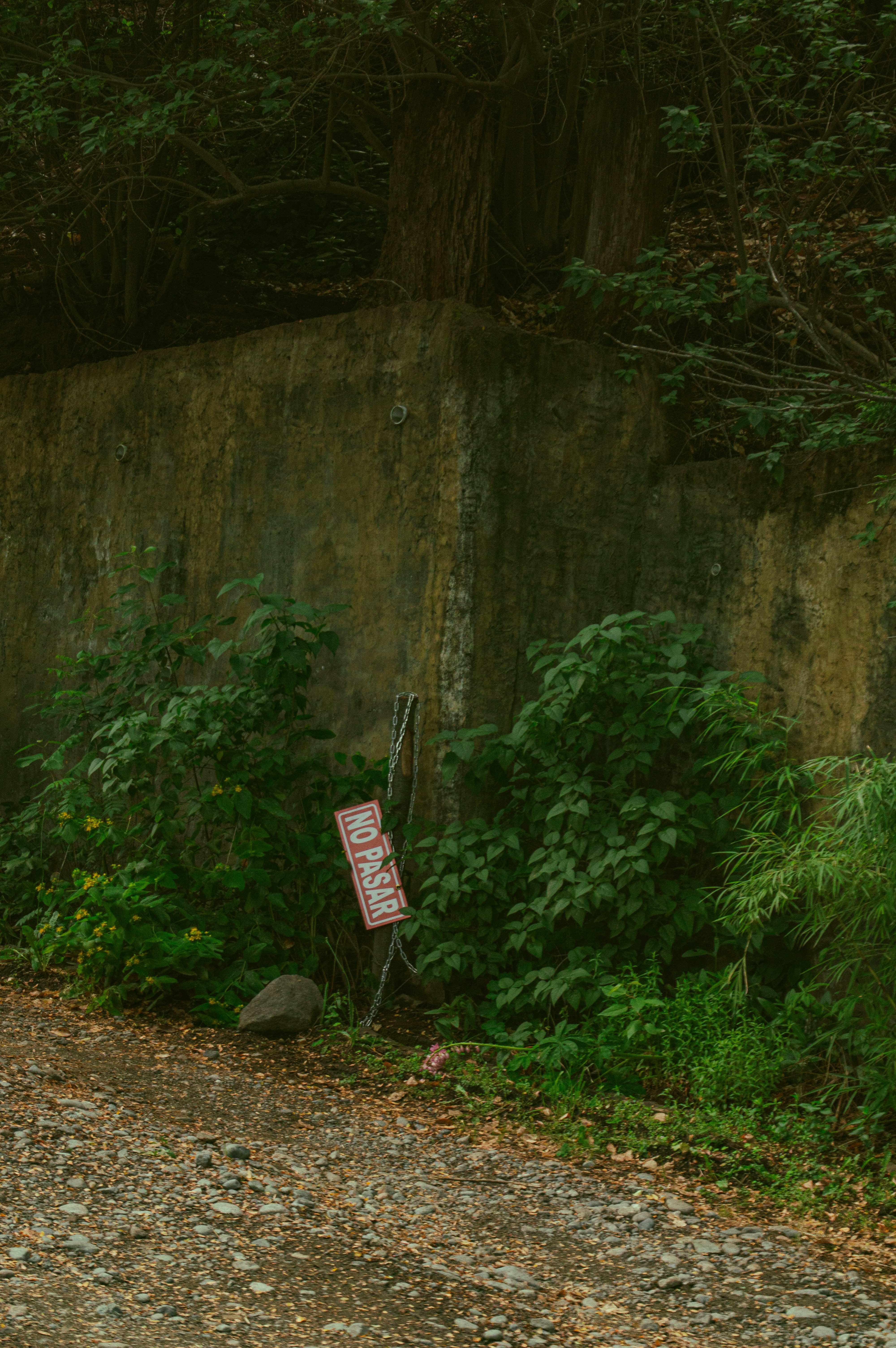 Photo by az_damariss