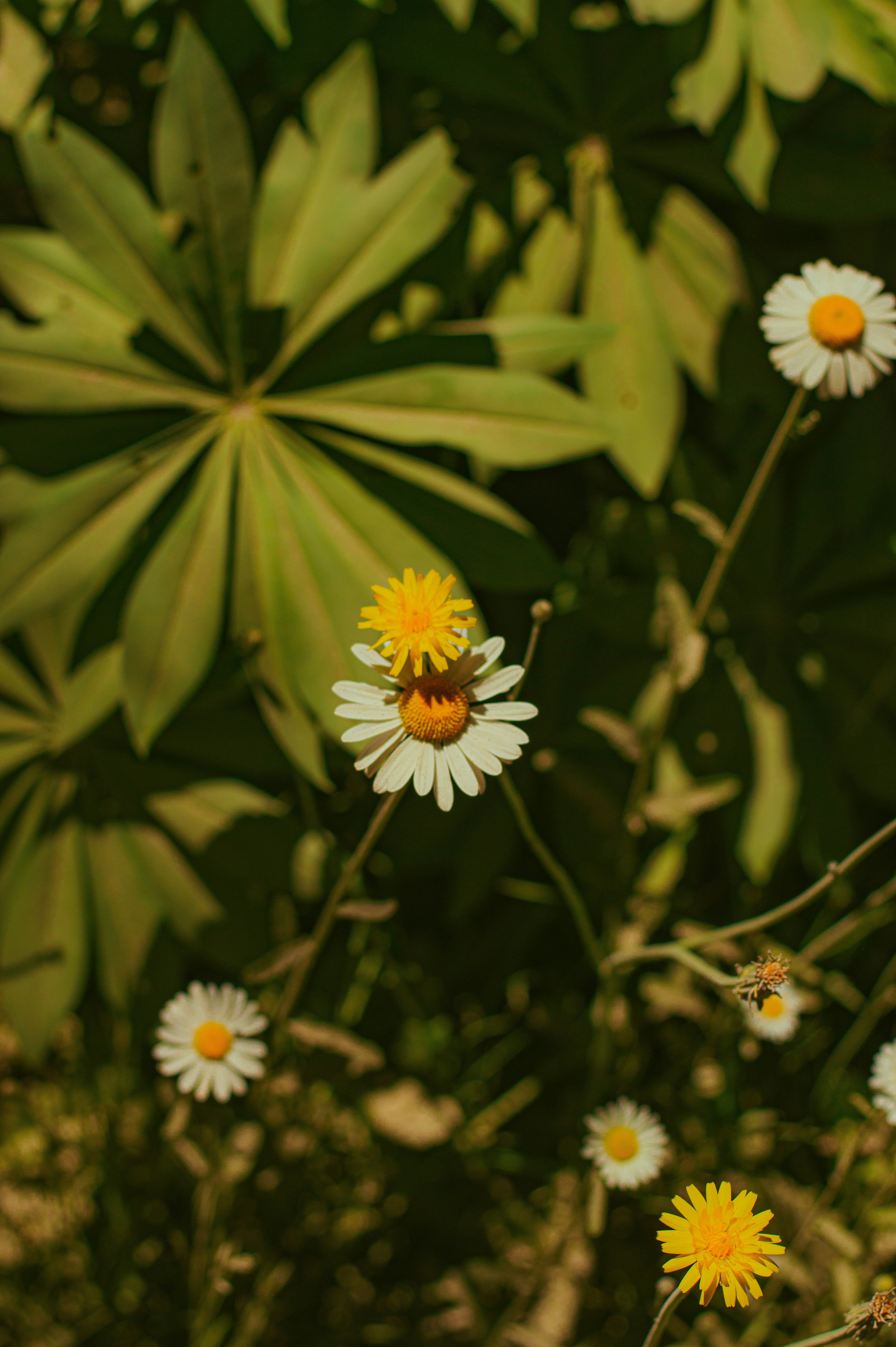 Photo by az_damariss