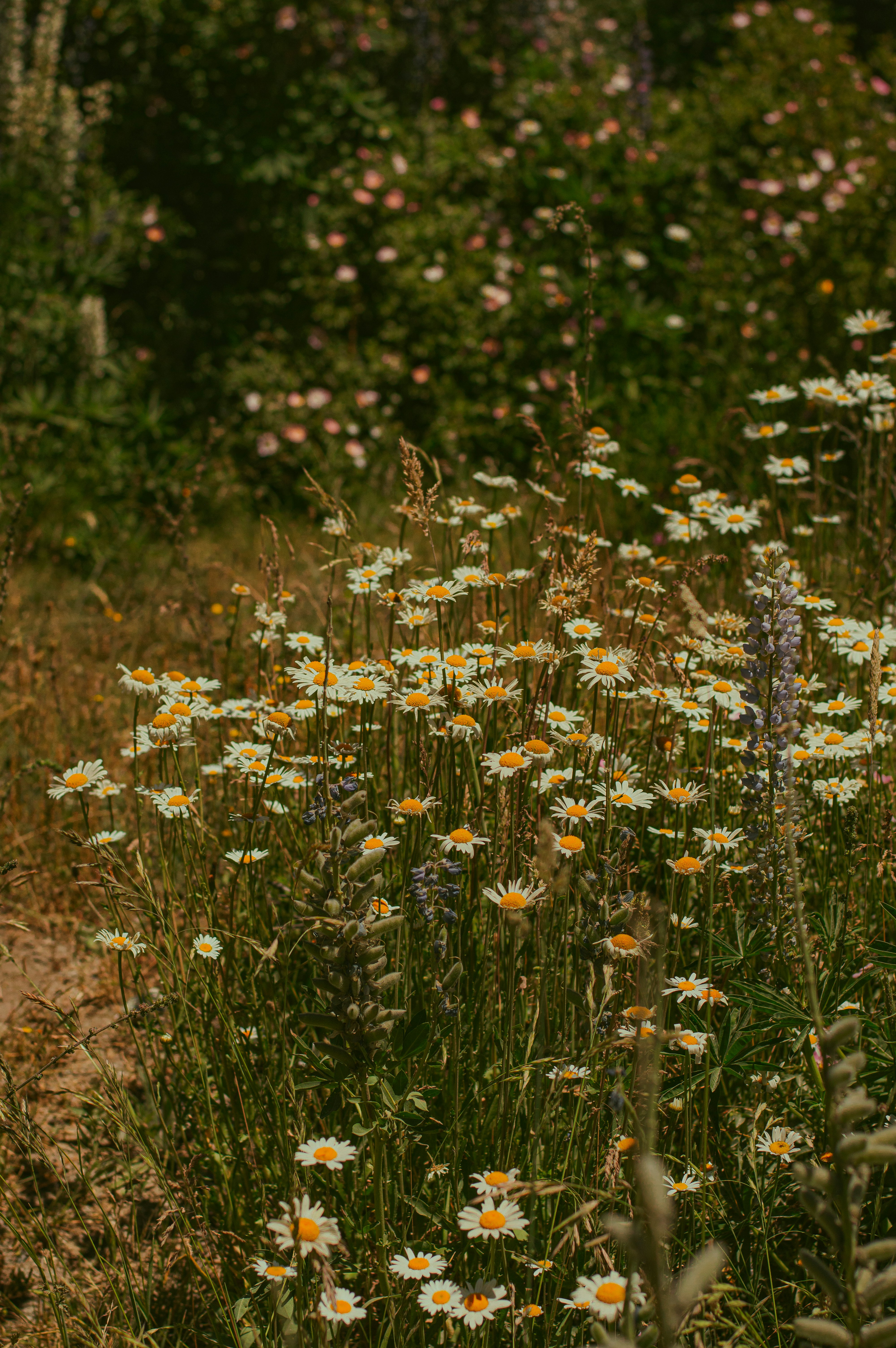 Photo by az_damariss