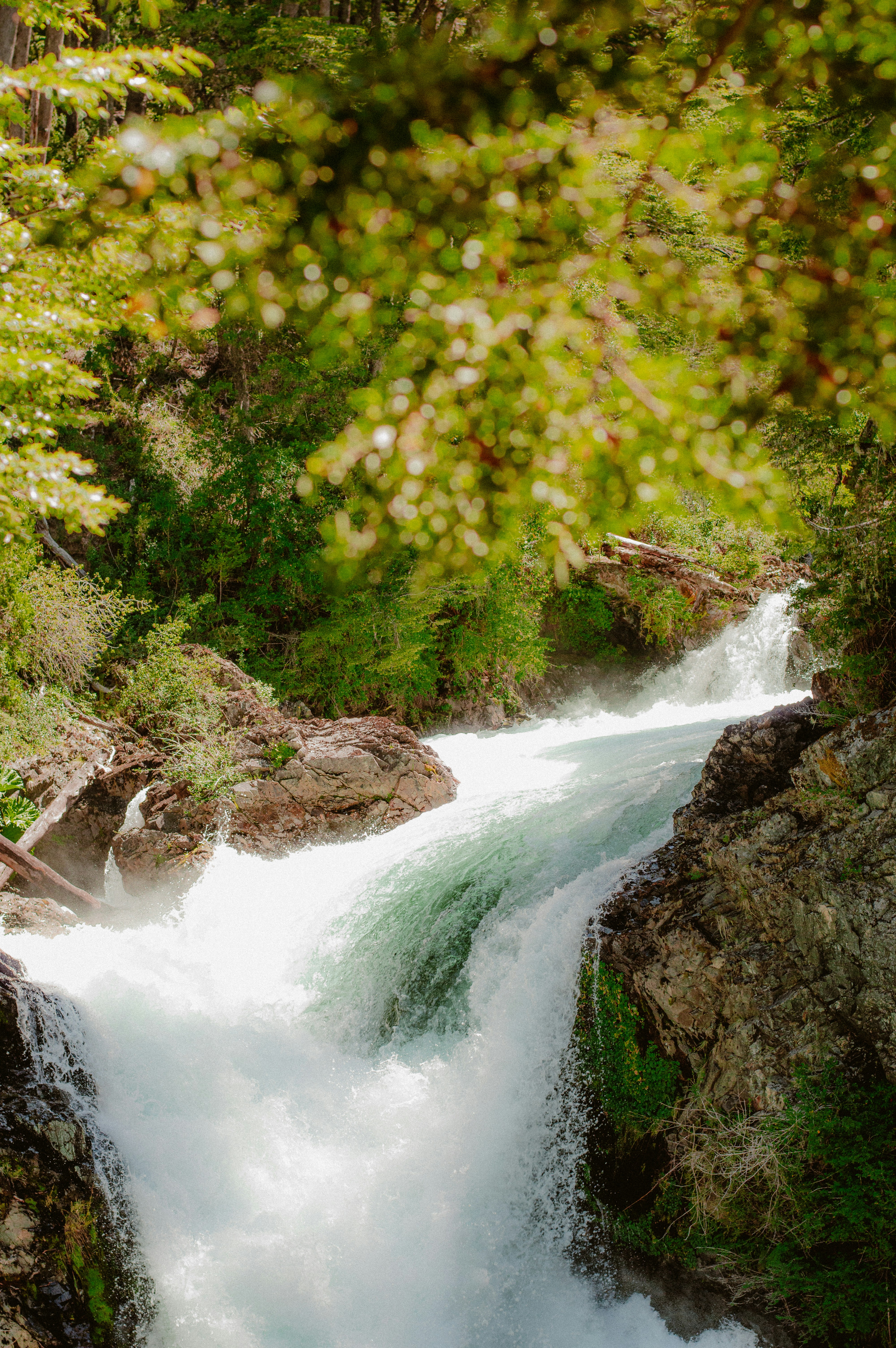 Photo by az_damariss