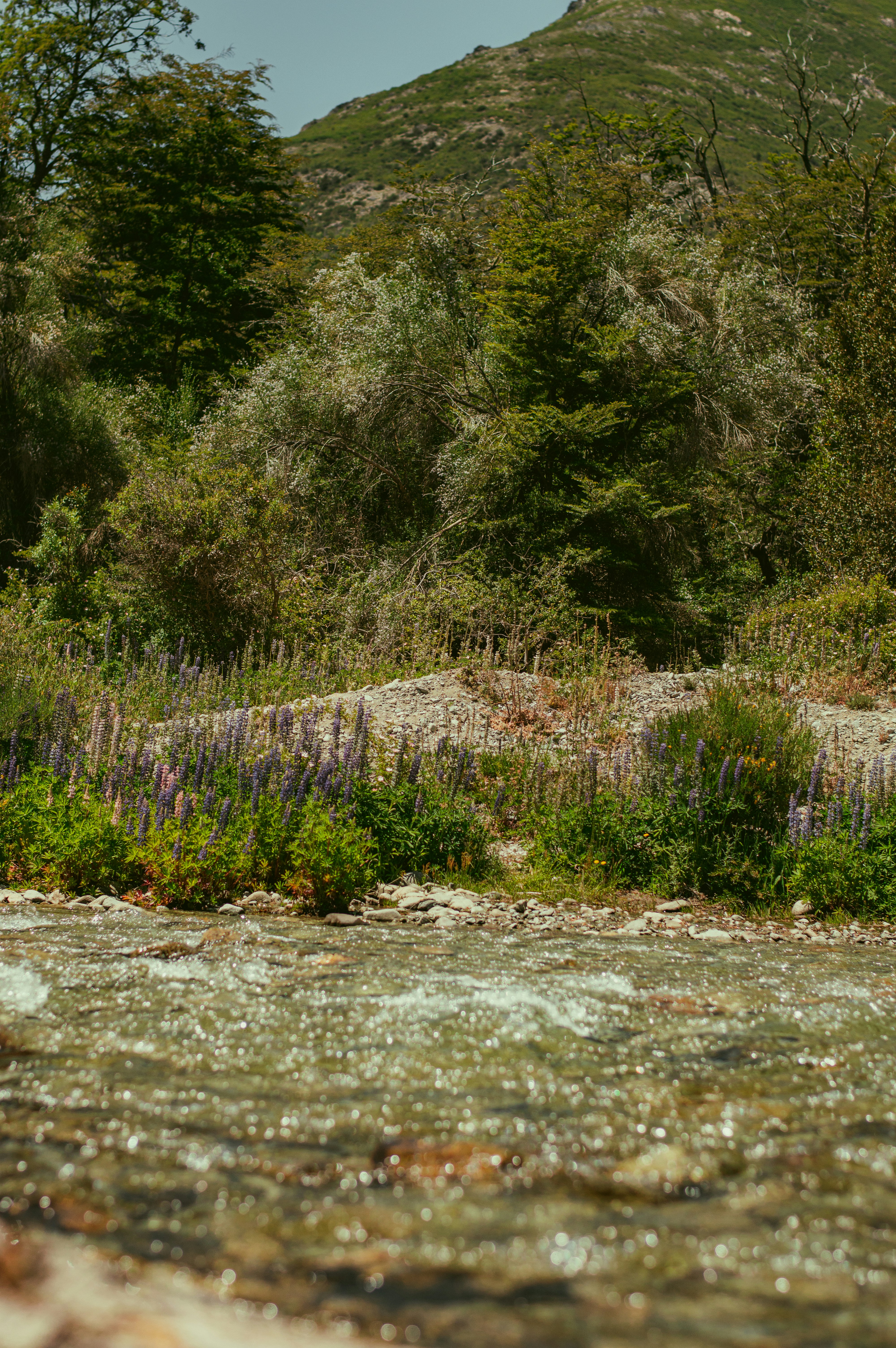 숨 쉬는 기술, 푸른 지구: 지속가능한 기술로 미래를 디자인하다