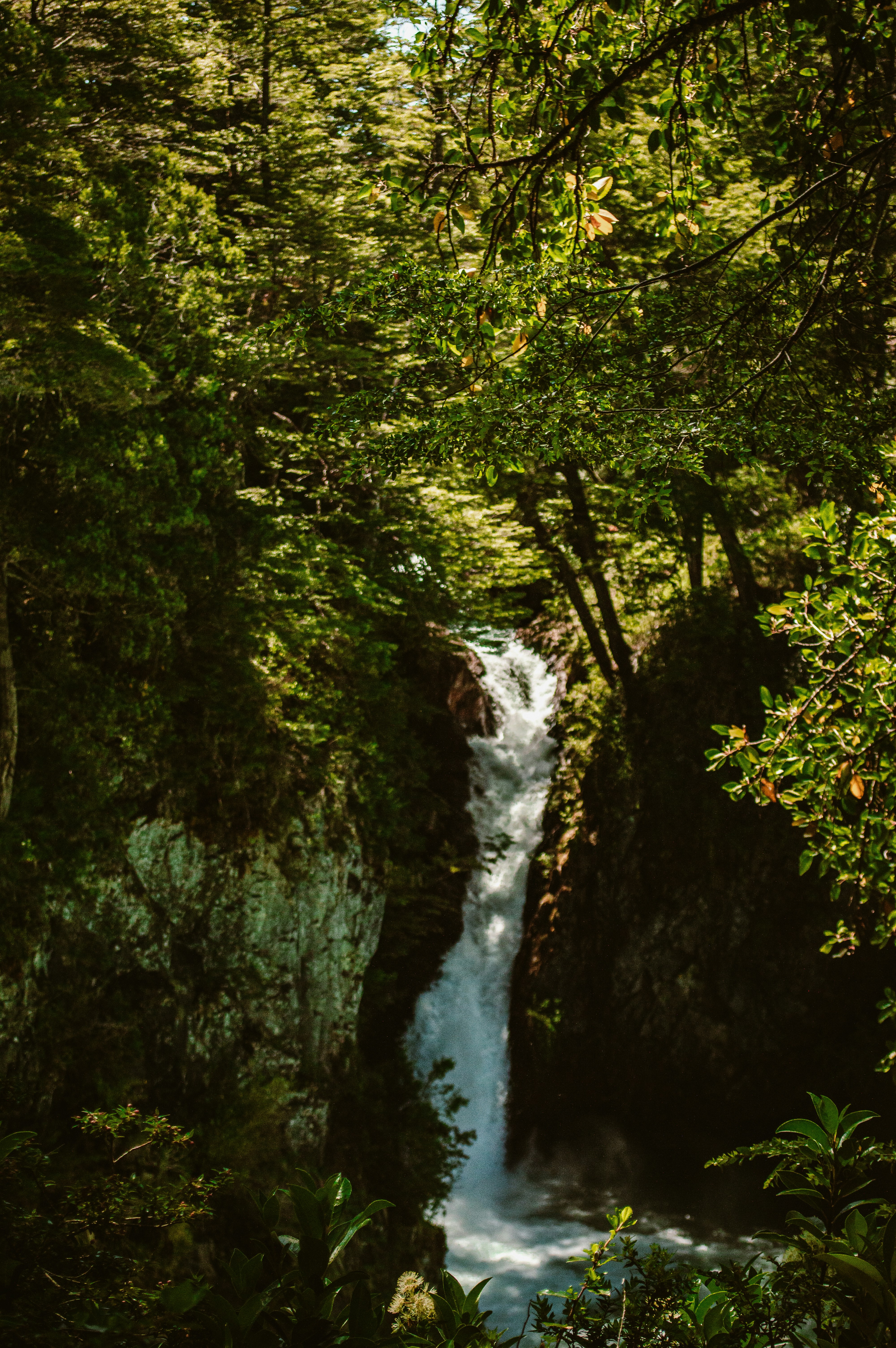 숨 쉬는 즐거움 되찾기: 천식으로부터 자유로워지는 호흡 건강 황금 열쇠