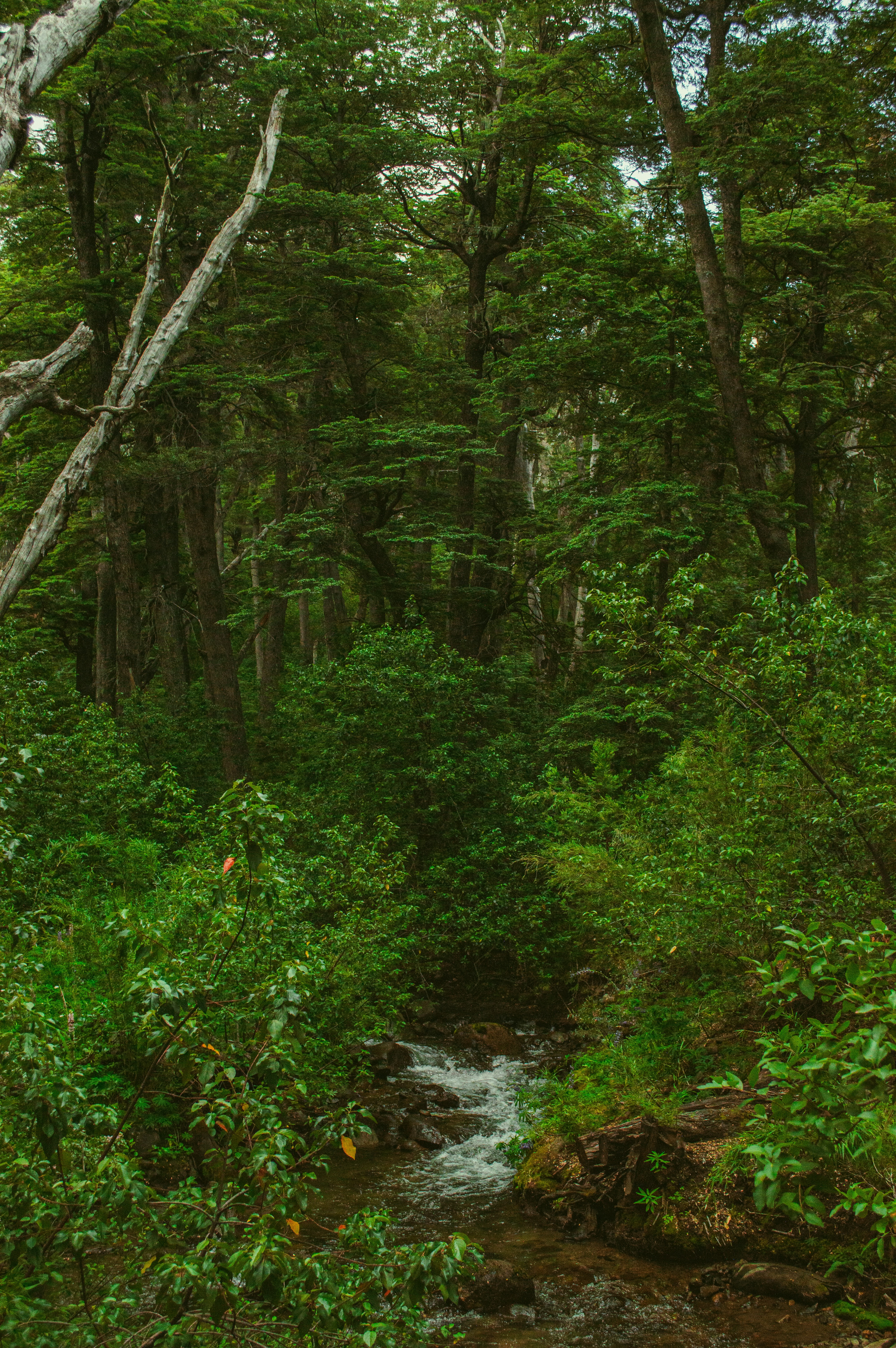 Photo by az_damariss