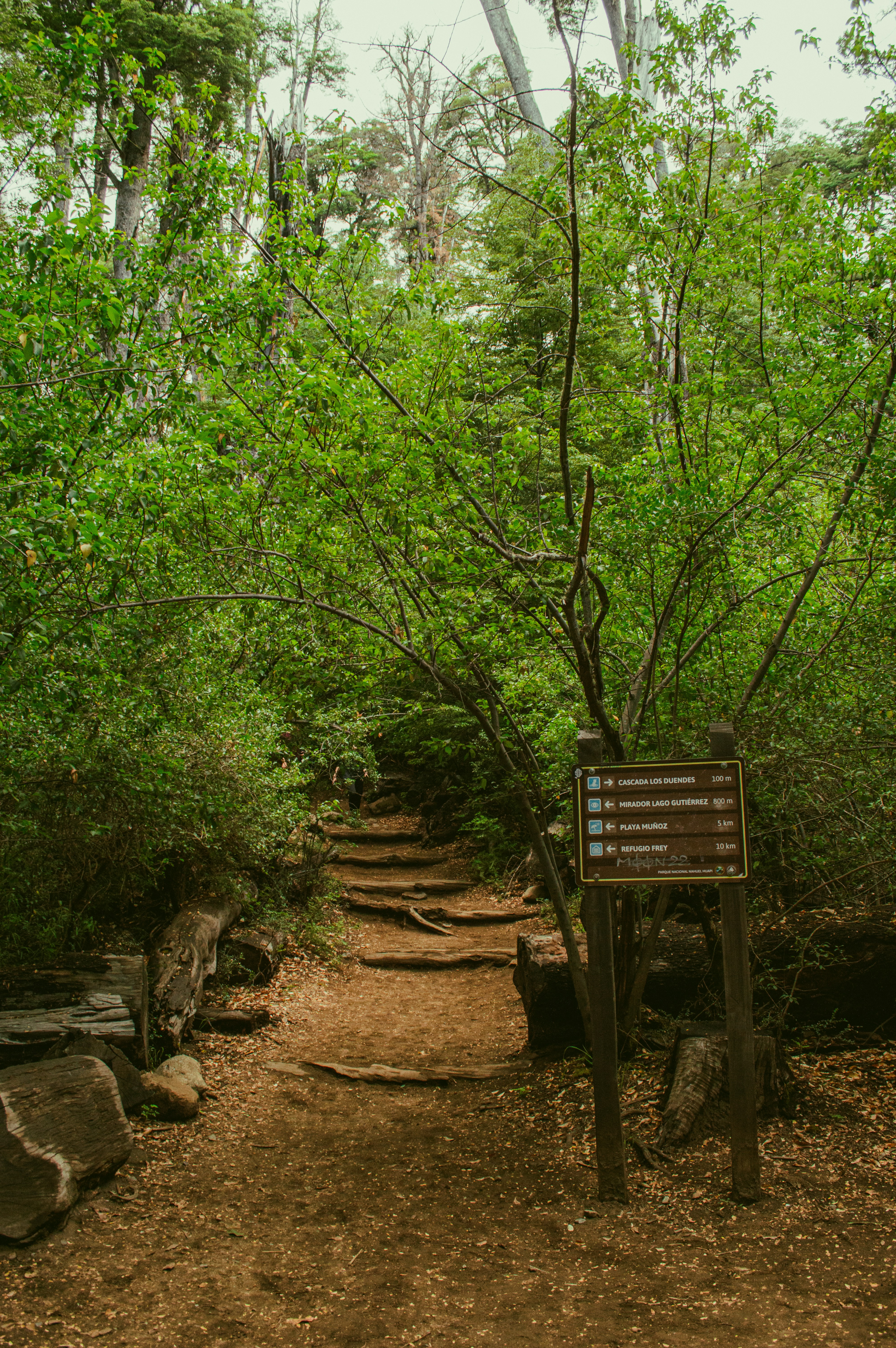 Photo by az_damariss