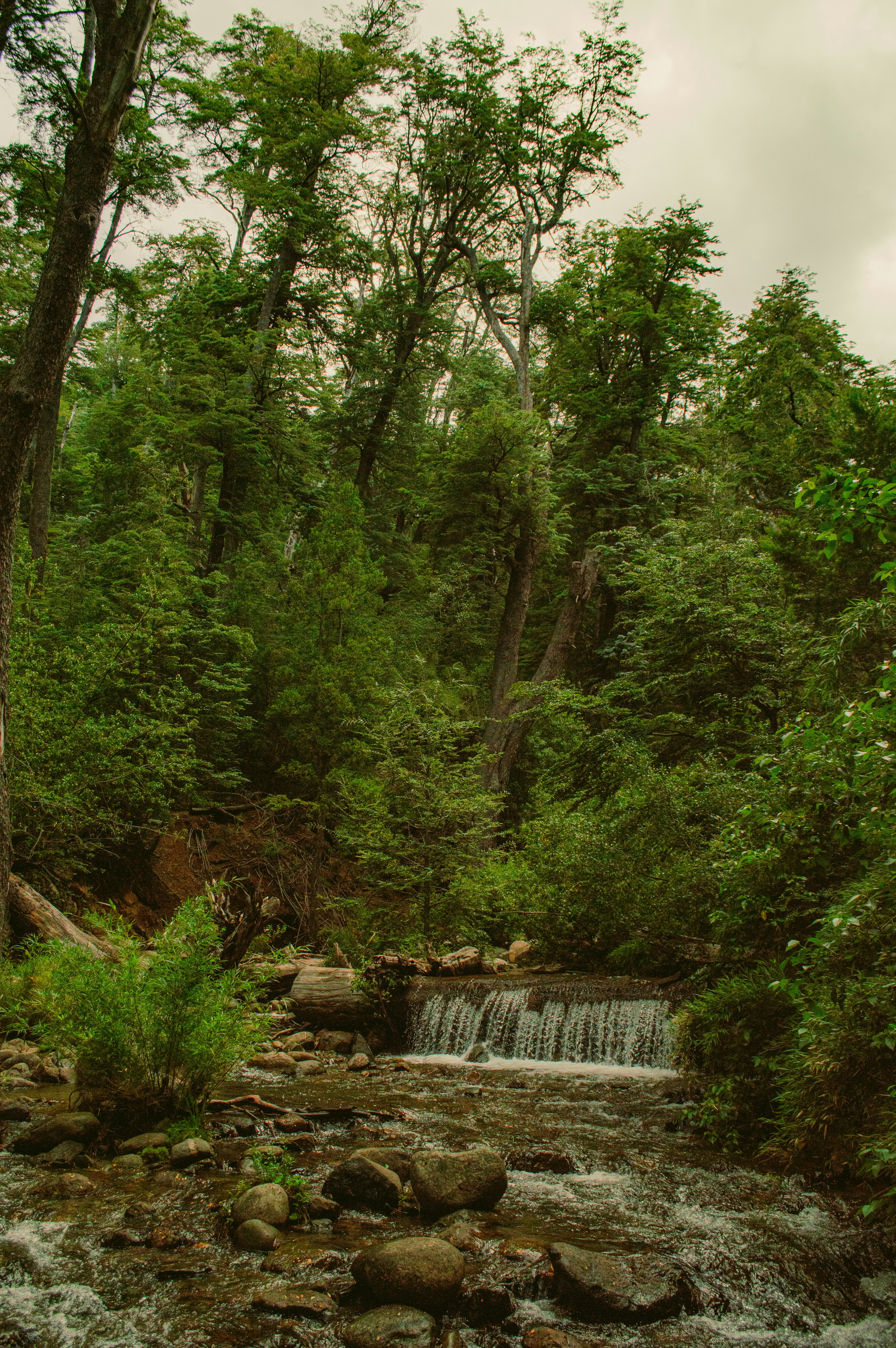 Photo by az_damariss