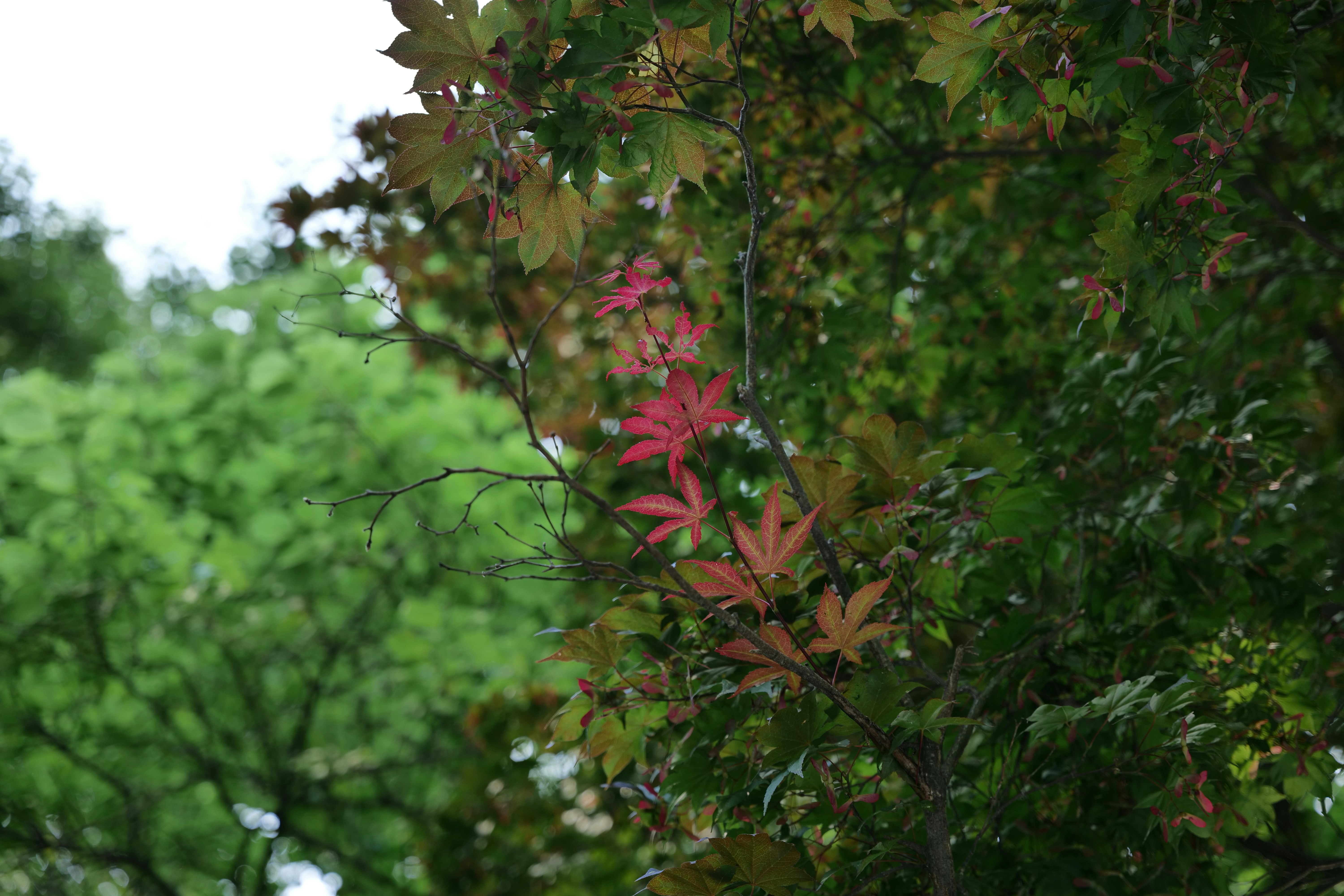 Photo by aim____5
