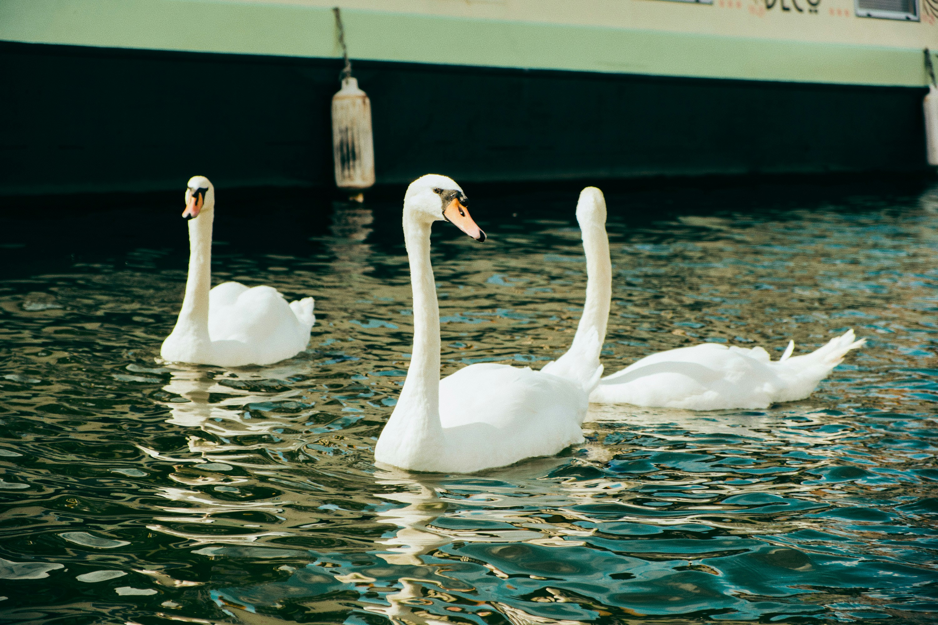 Photo by benjamin_photography