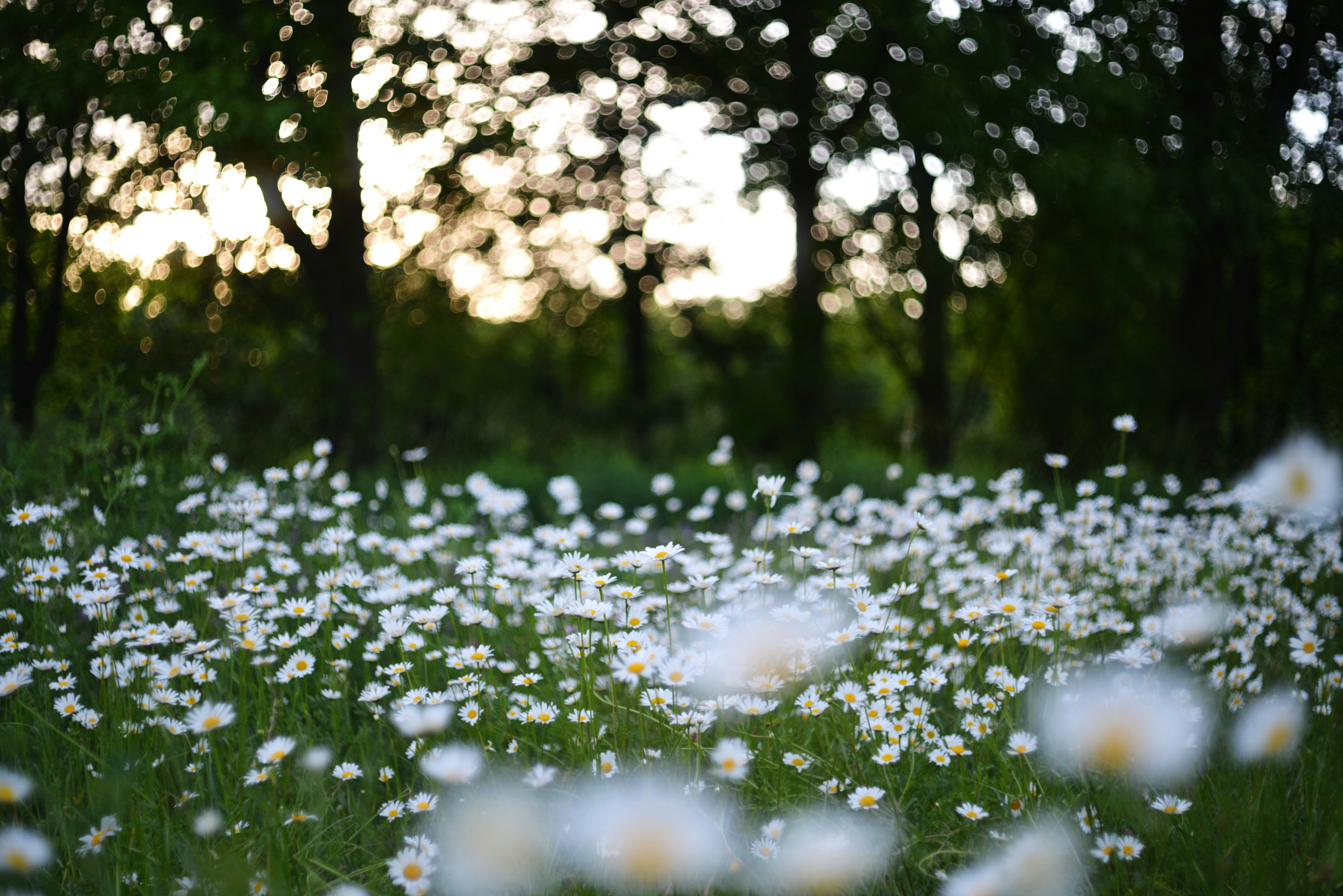 Dlaczego ludzie boją się Ciszy??