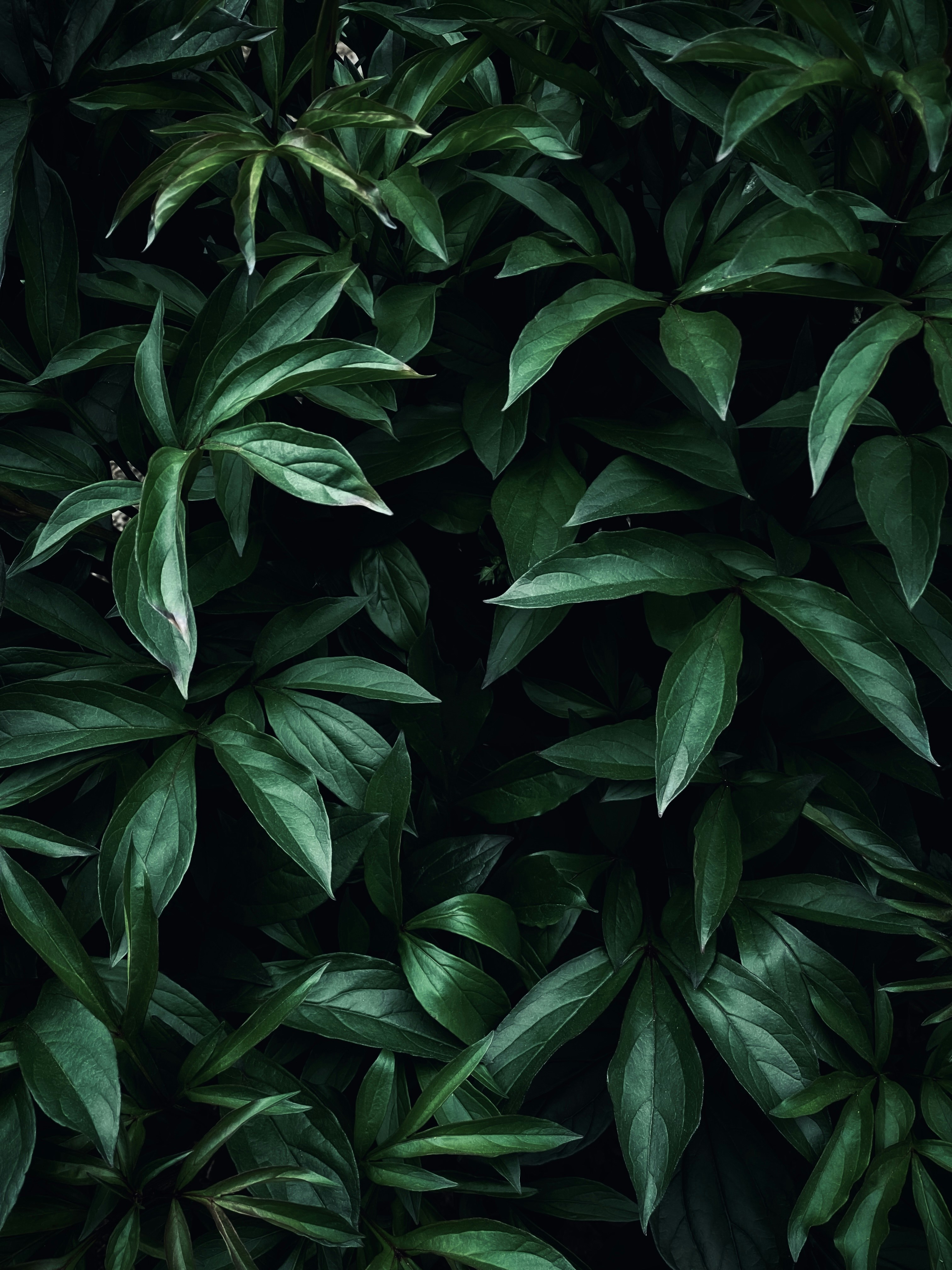 Photo by eugene_golovesov