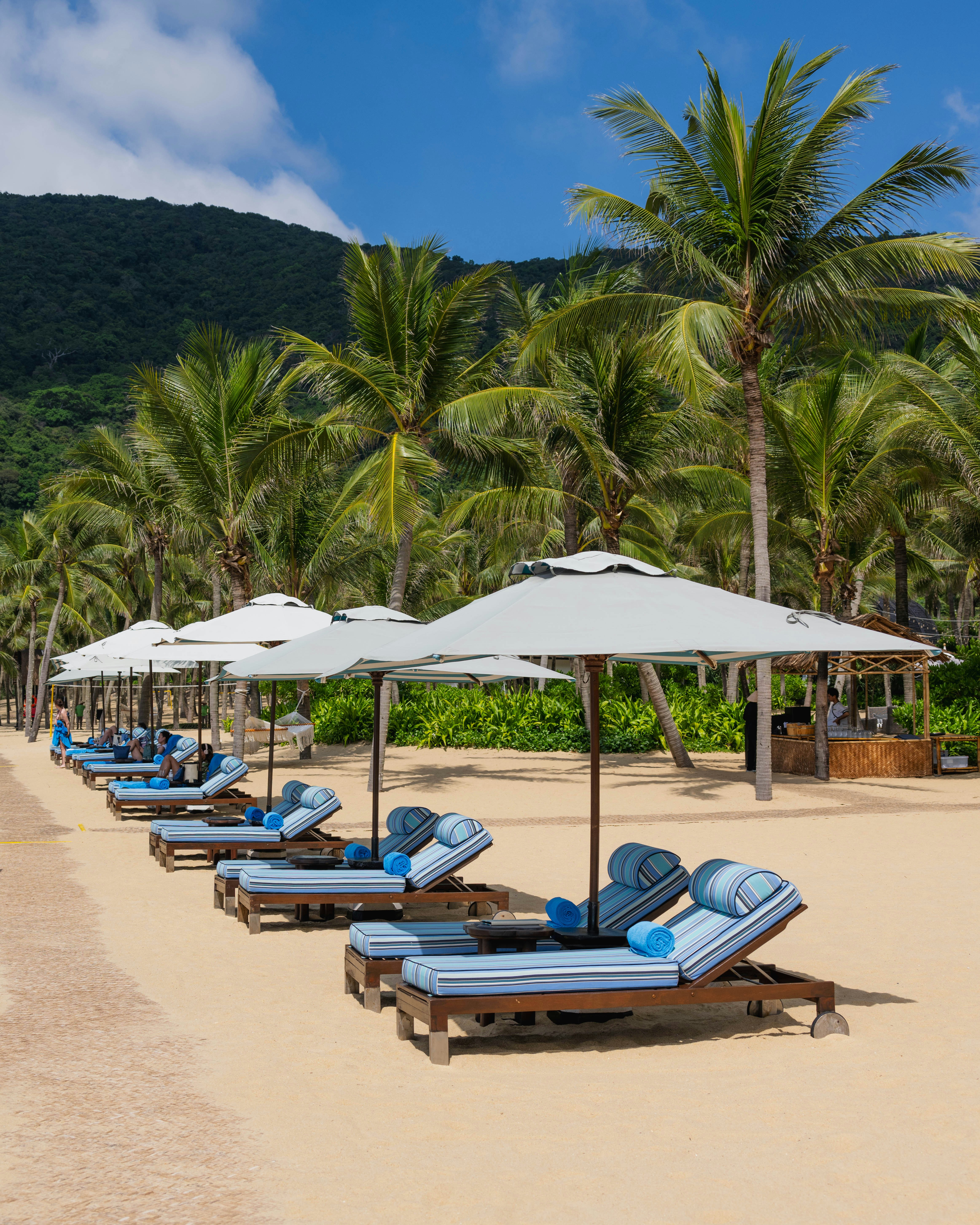a row of lounge chairs sitting on top of a sandy beach