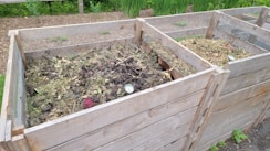 a couple of wooden boxes filled with dirt