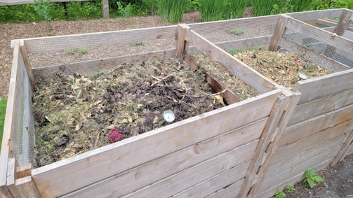 a couple of wooden boxes filled with dirt