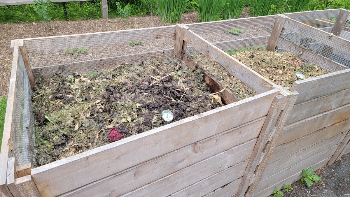 Lomi Home Composter vs Mill vs Traditional Countertop Bin: Which Food Recycler Wins?