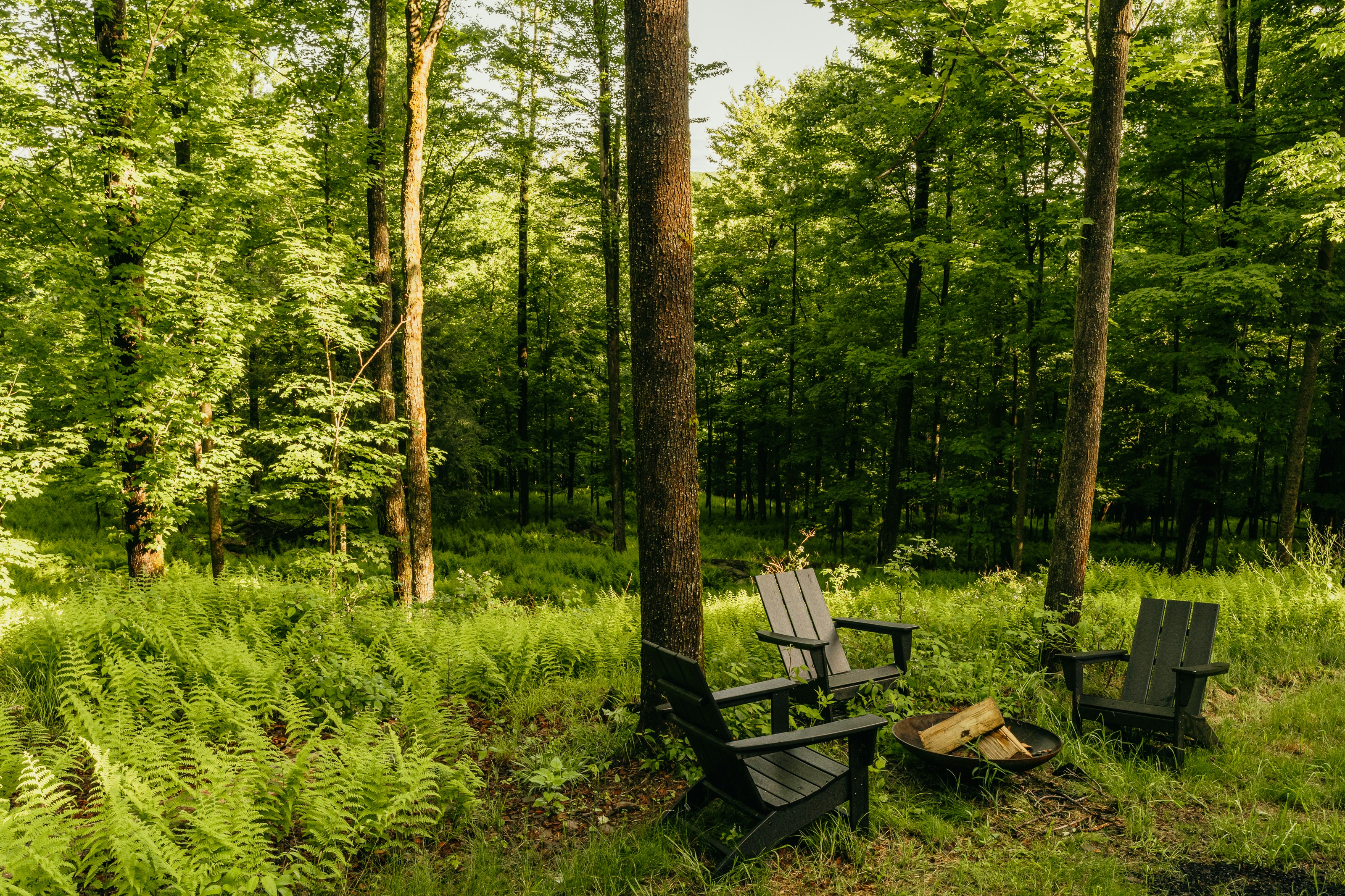 Luxurious Outdoor Living Essentials