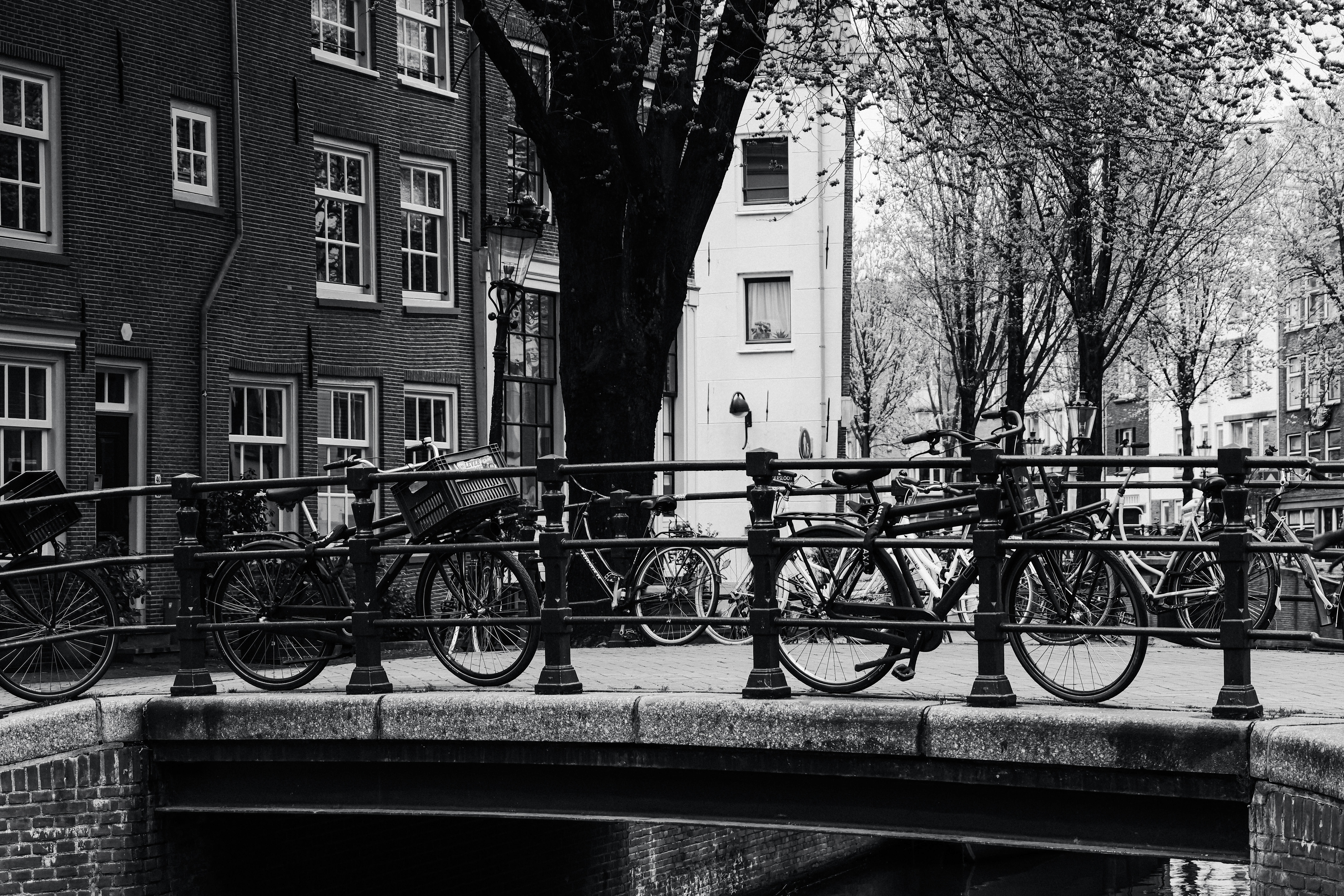 a black and white photo of bicycles on a bridge, Bicycles directionally resting against an iron railing on each side of the bridge.