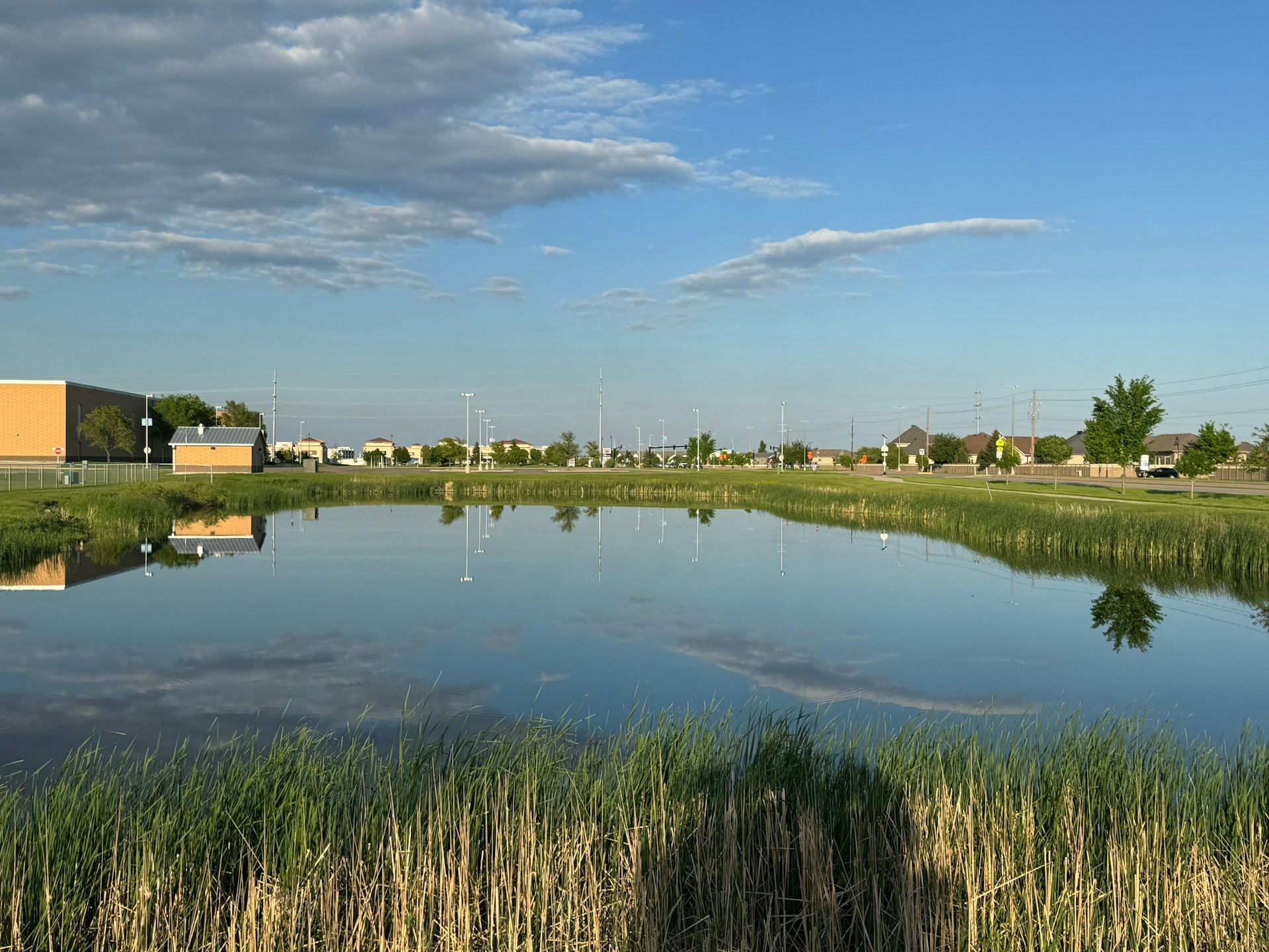 a large body of water surrounded by tall grass