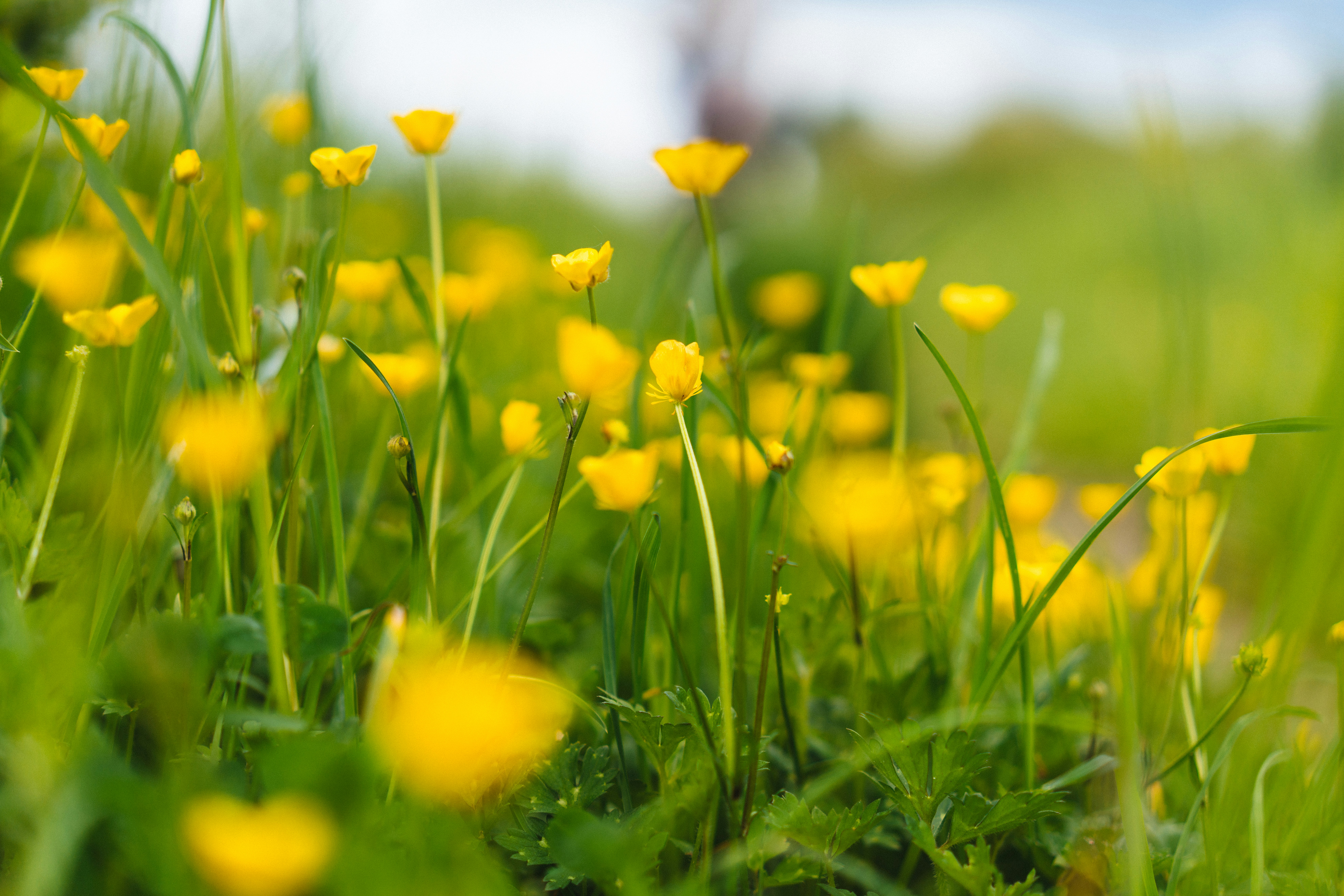 Photo by philhearing