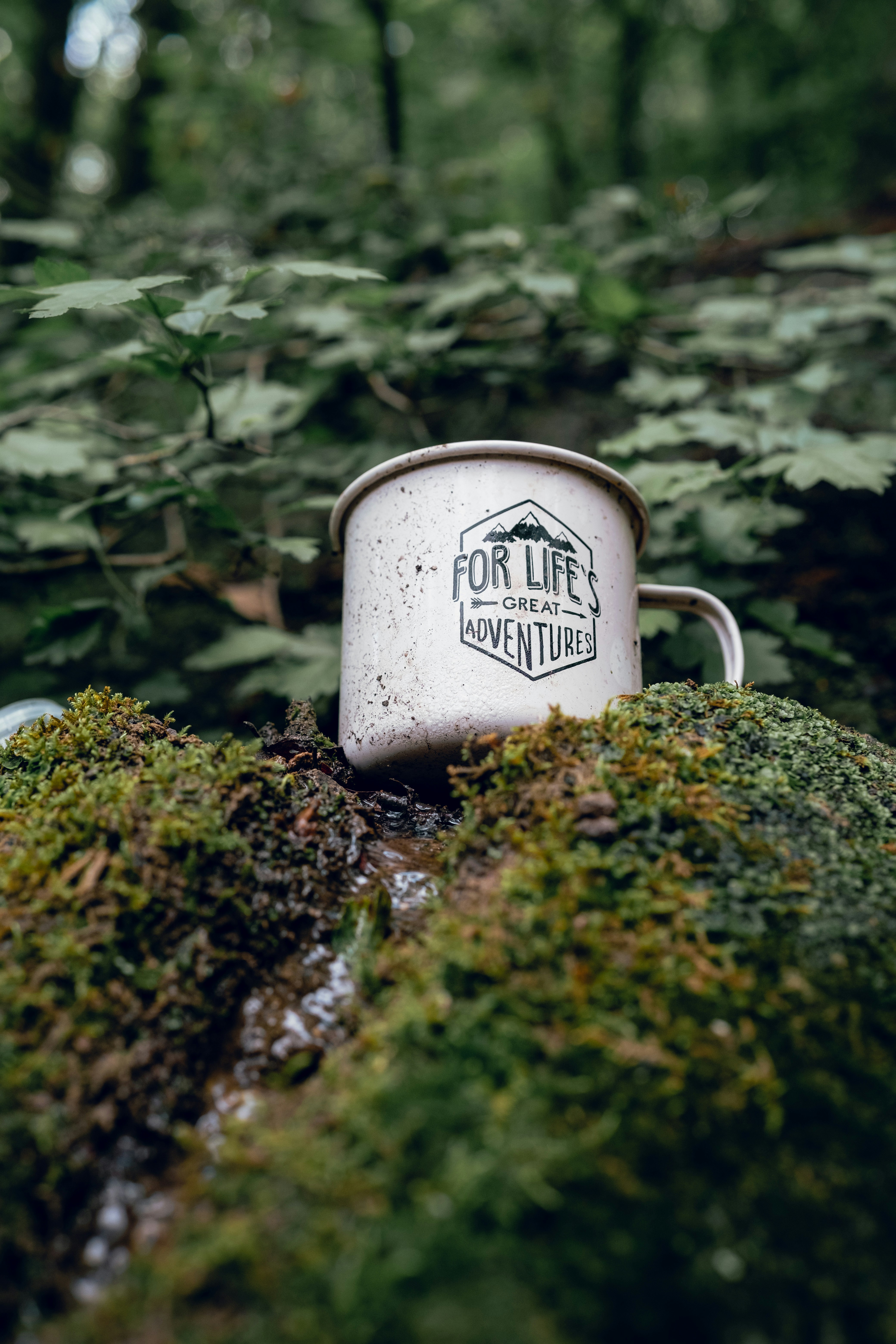 a white cup sitting on top of a moss covered rock