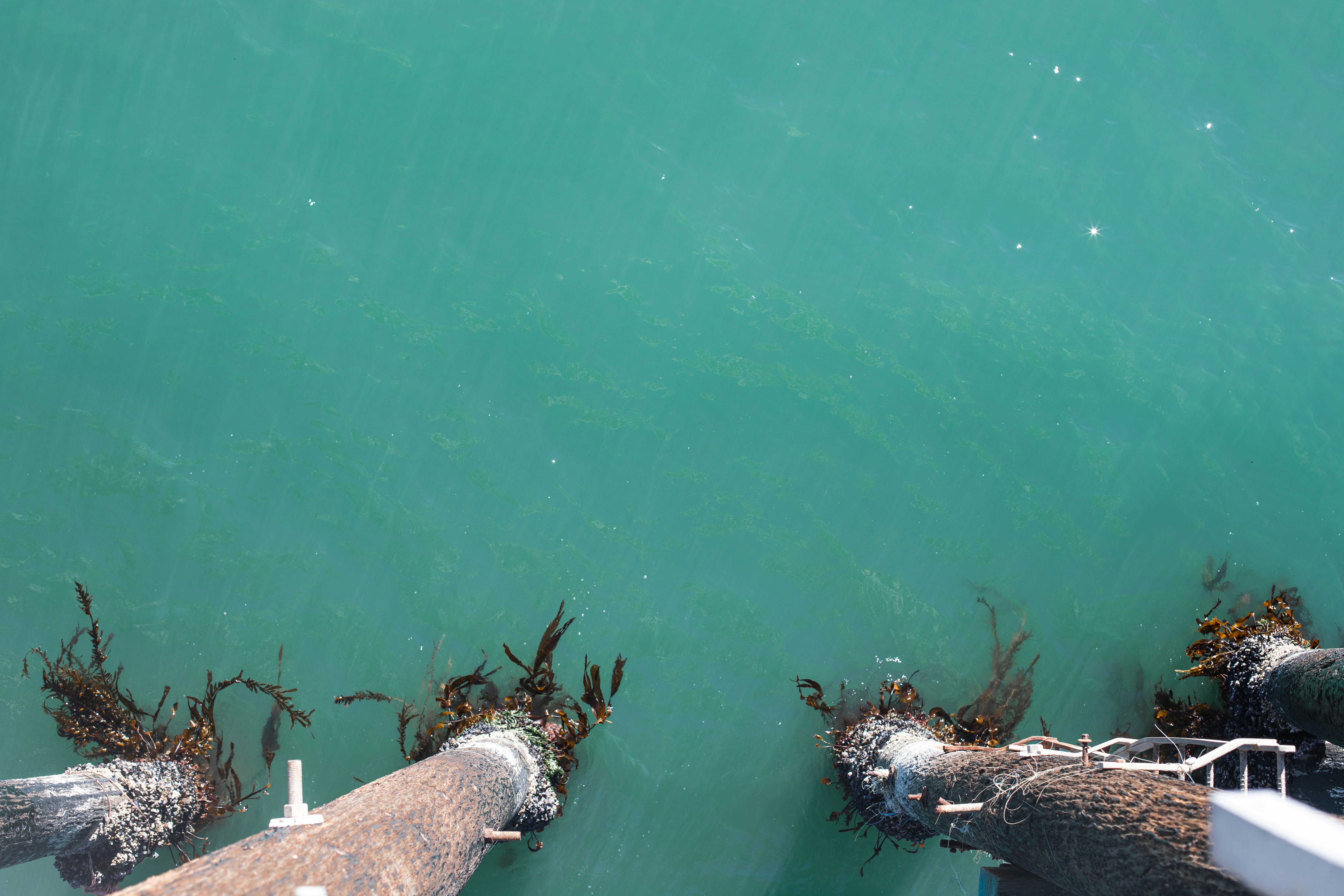 Photo by sixteenmilesout