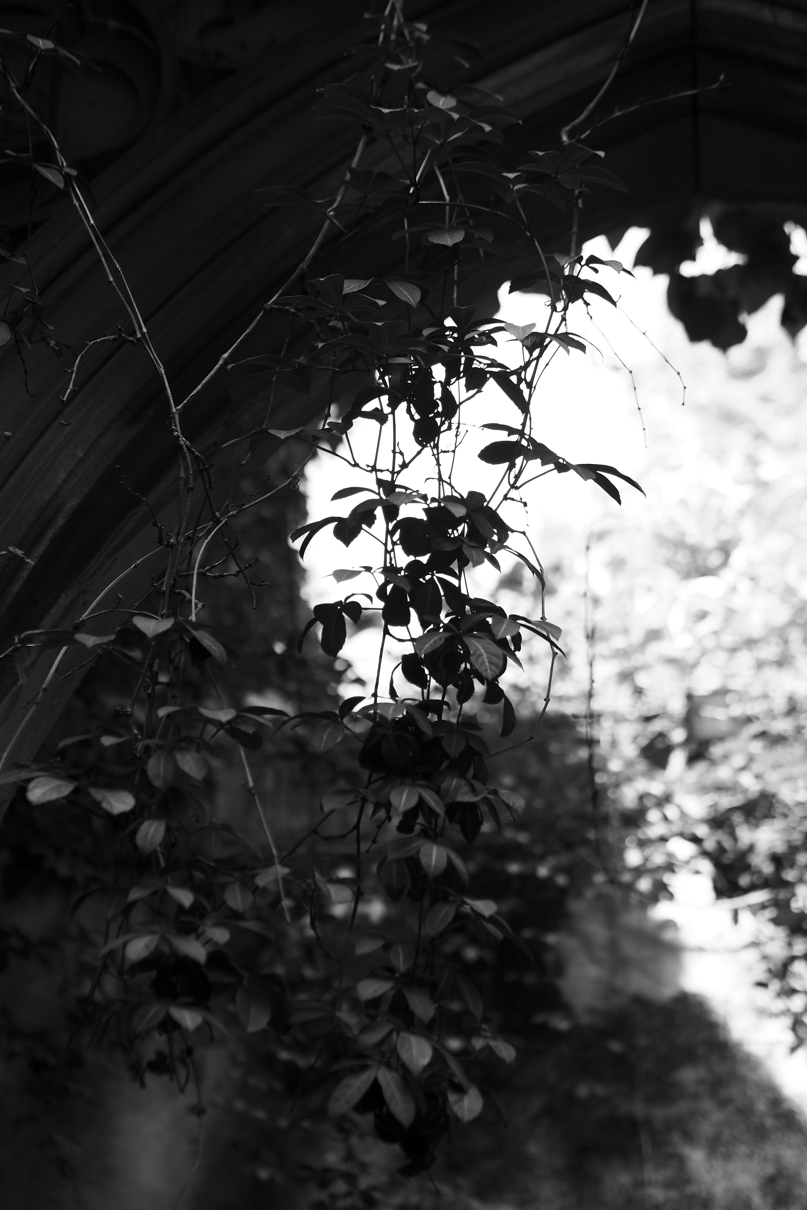 Photo by laurachouette