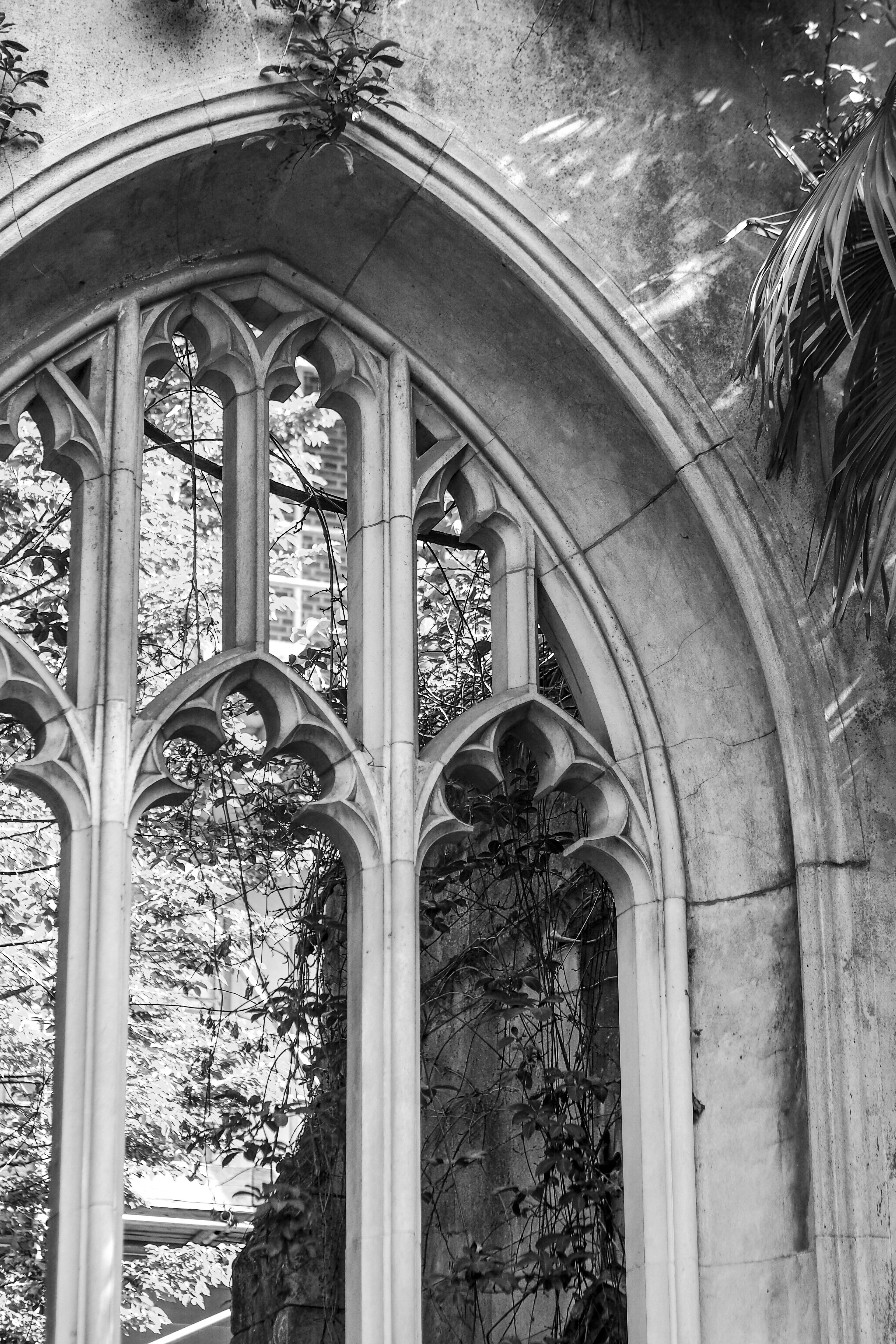 Photo by laurachouette