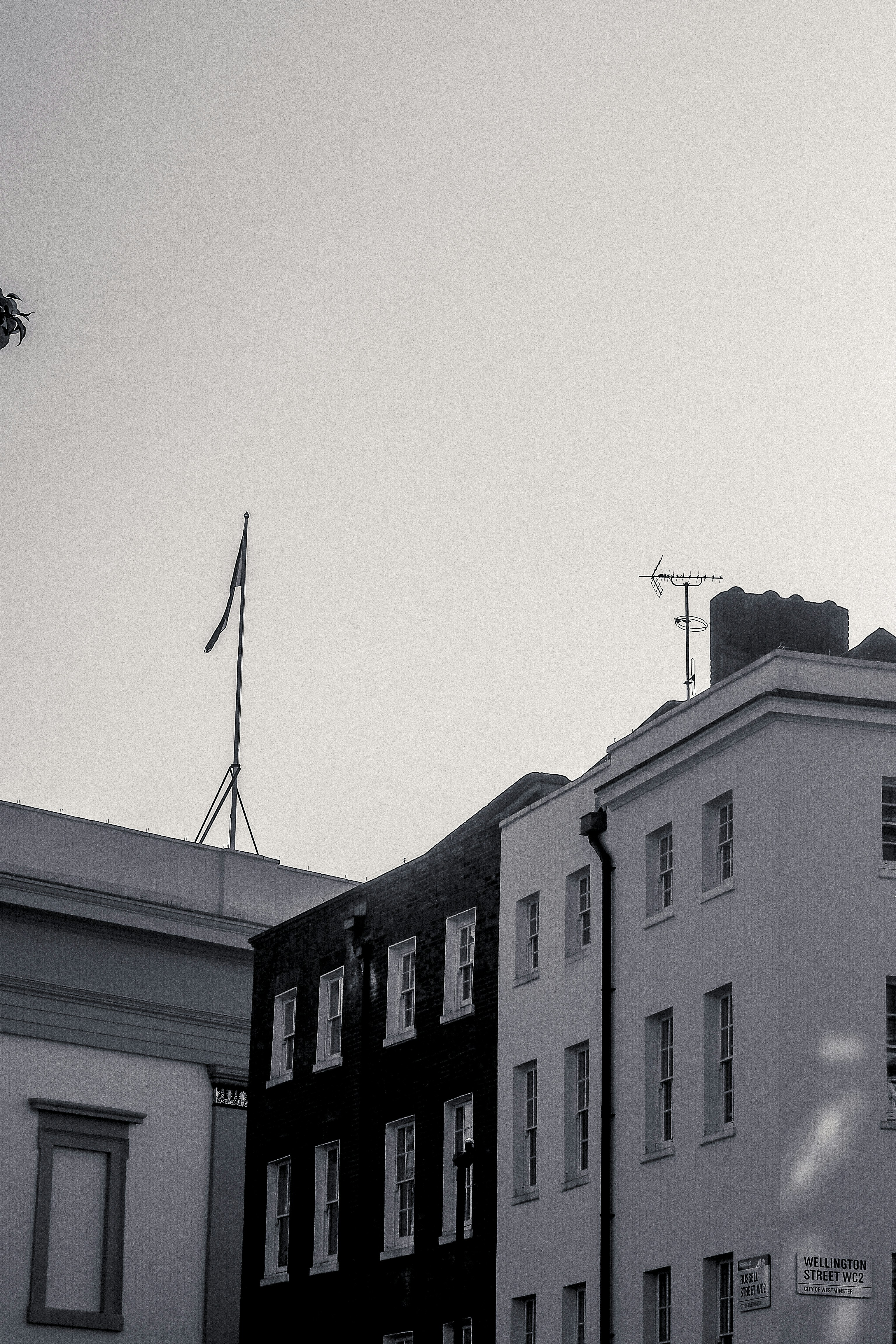 Photo by laurachouette