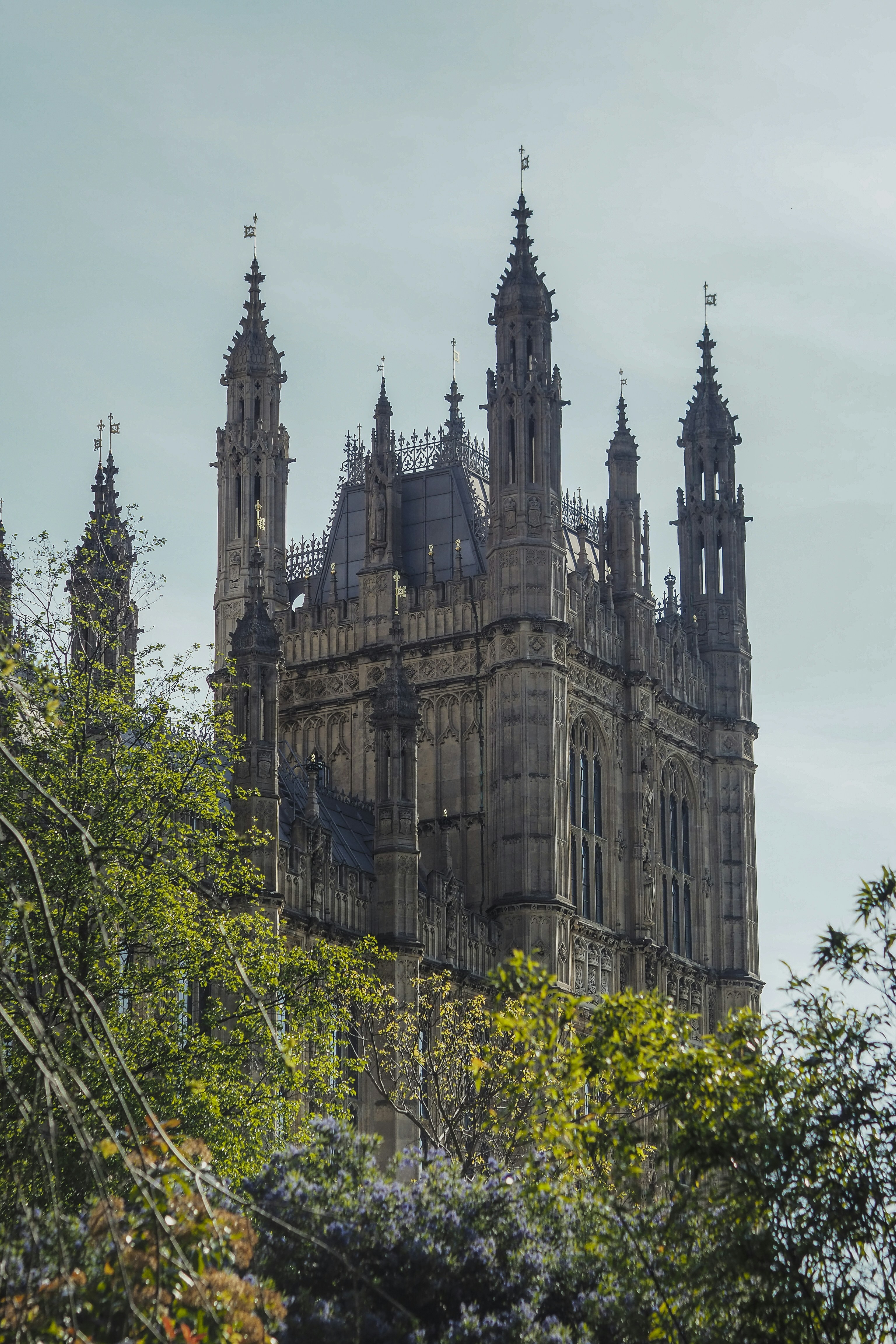 Photo by laurachouette