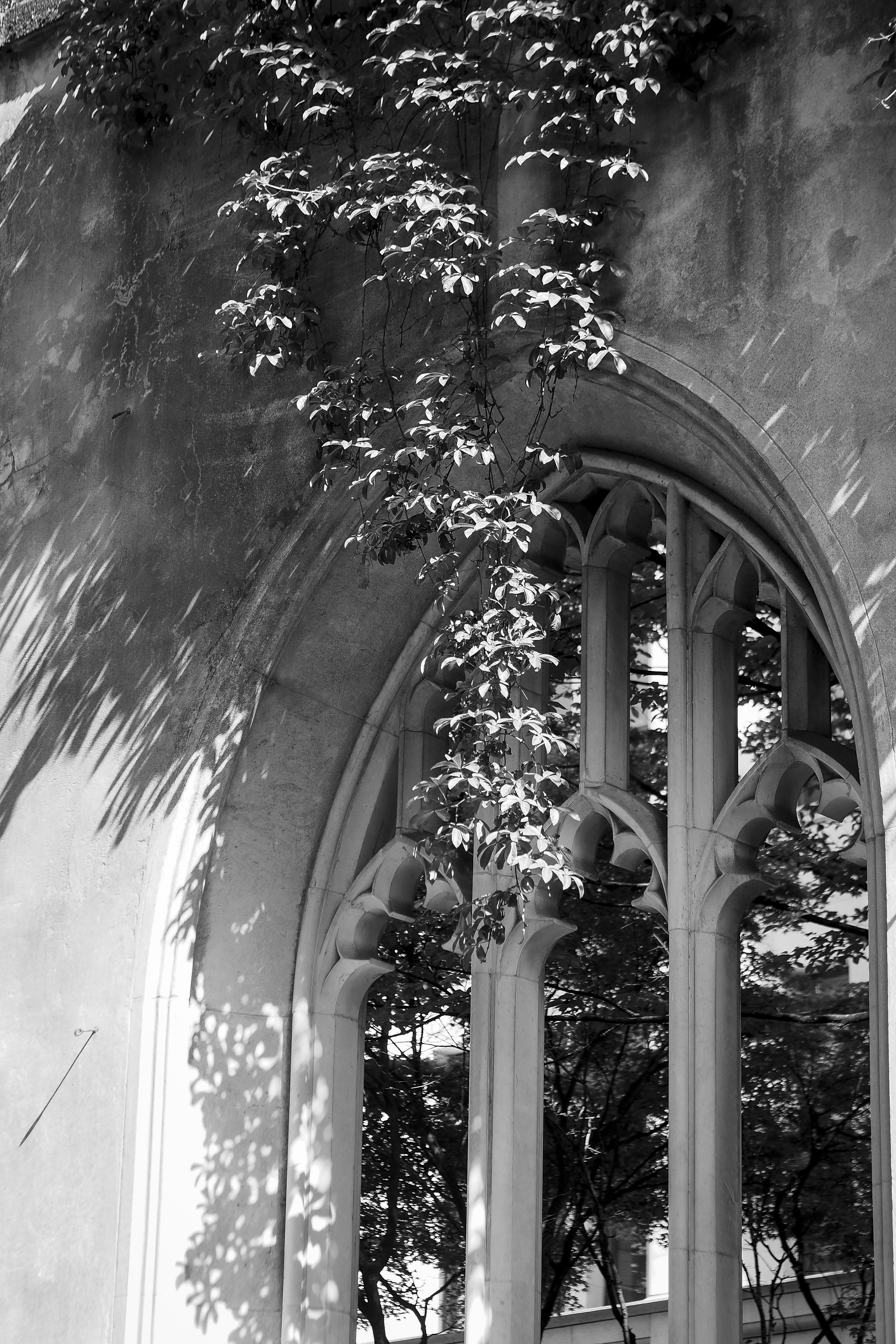 Photo by laurachouette